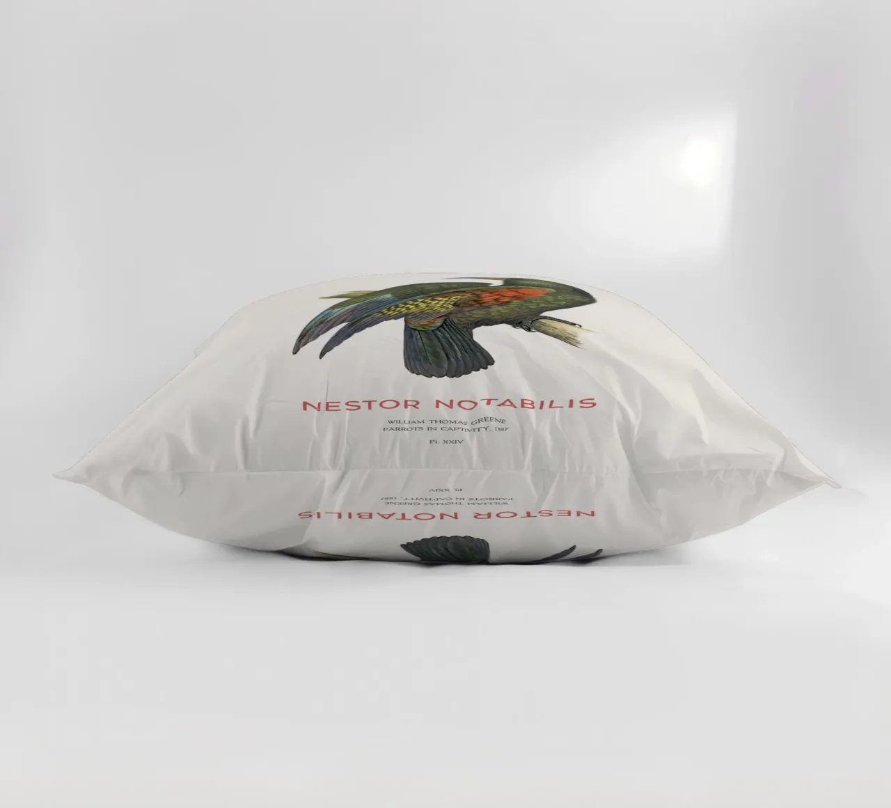 Kea oder Nestor notabilis Kissen von Vintagrafica