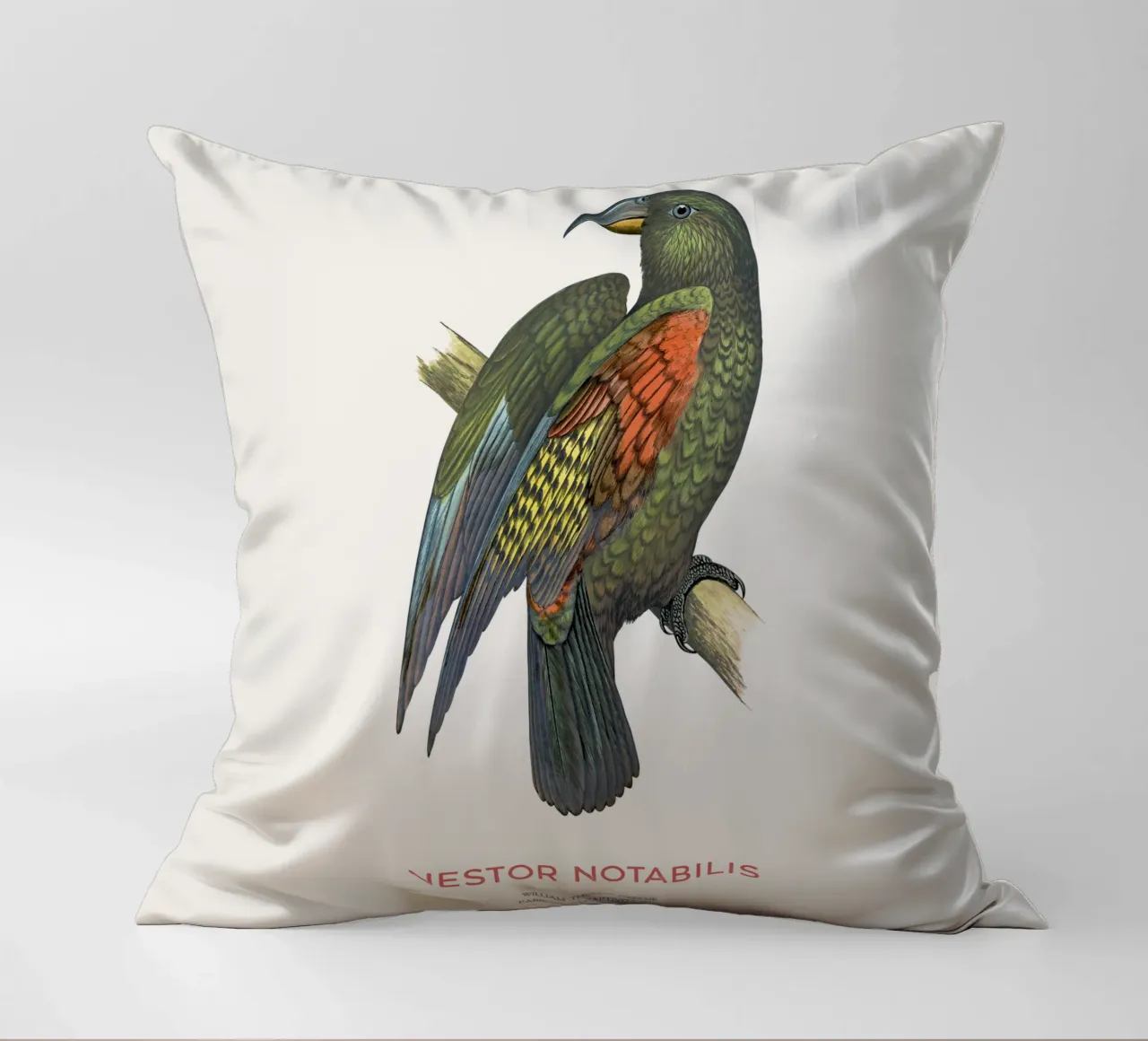 Kea oder Nestor notabilis Kissen von Vintagrafica