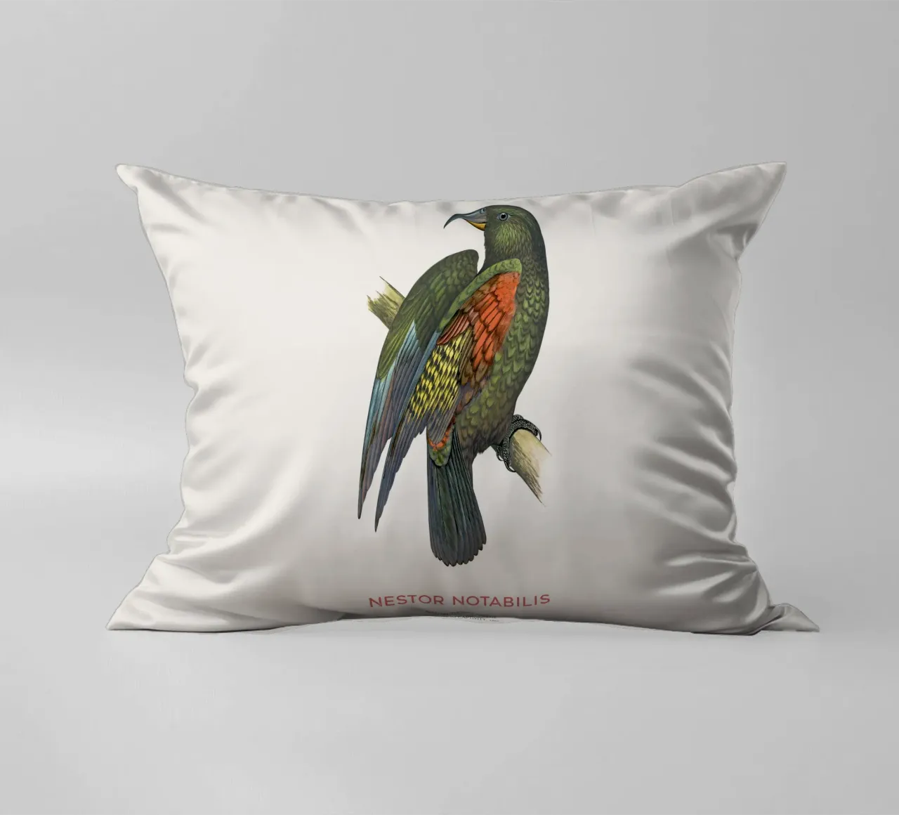 Kea oder Nestor notabilis Kissen von Vintagrafica