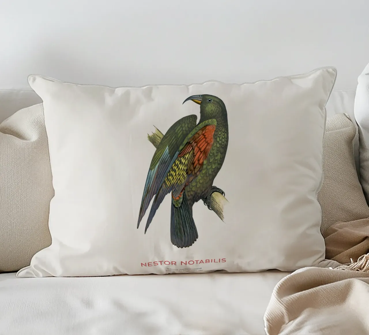 Kea oder Nestor notabilis Kissen von Vintagrafica