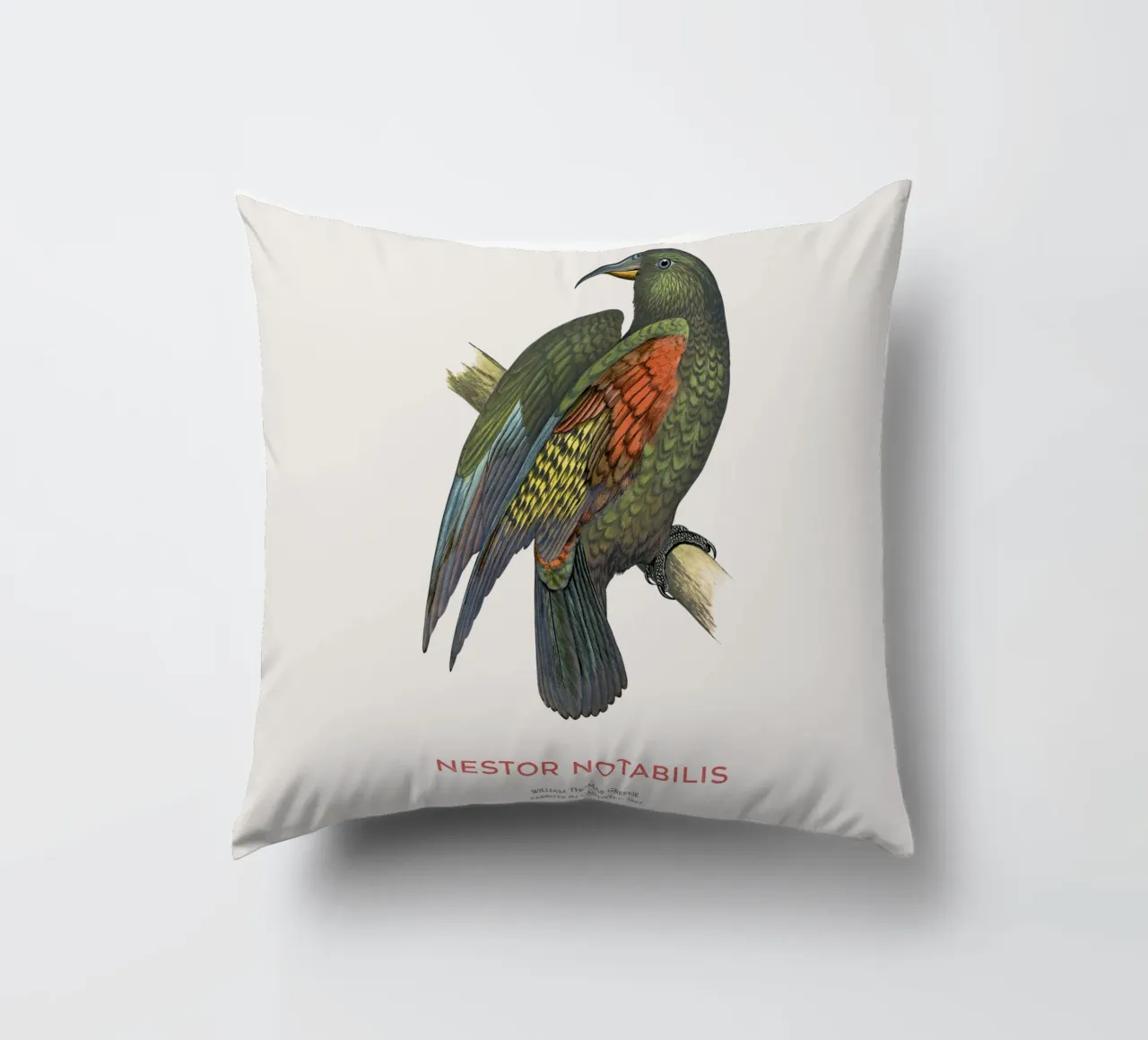 Kea oder Nestor notabilis Kissen von Vintagrafica