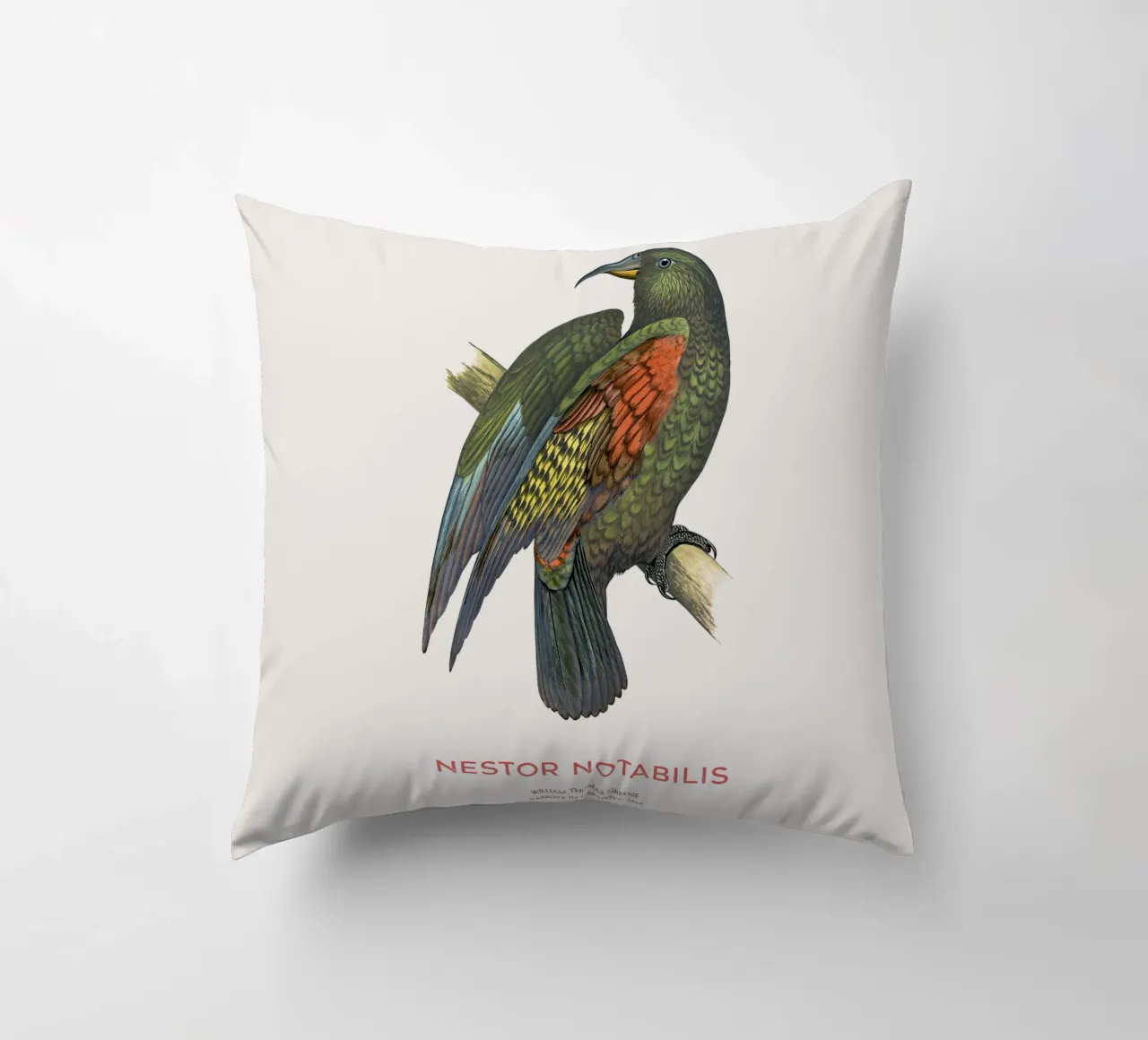 Kea oder Nestor notabilis Kissen von Vintagrafica