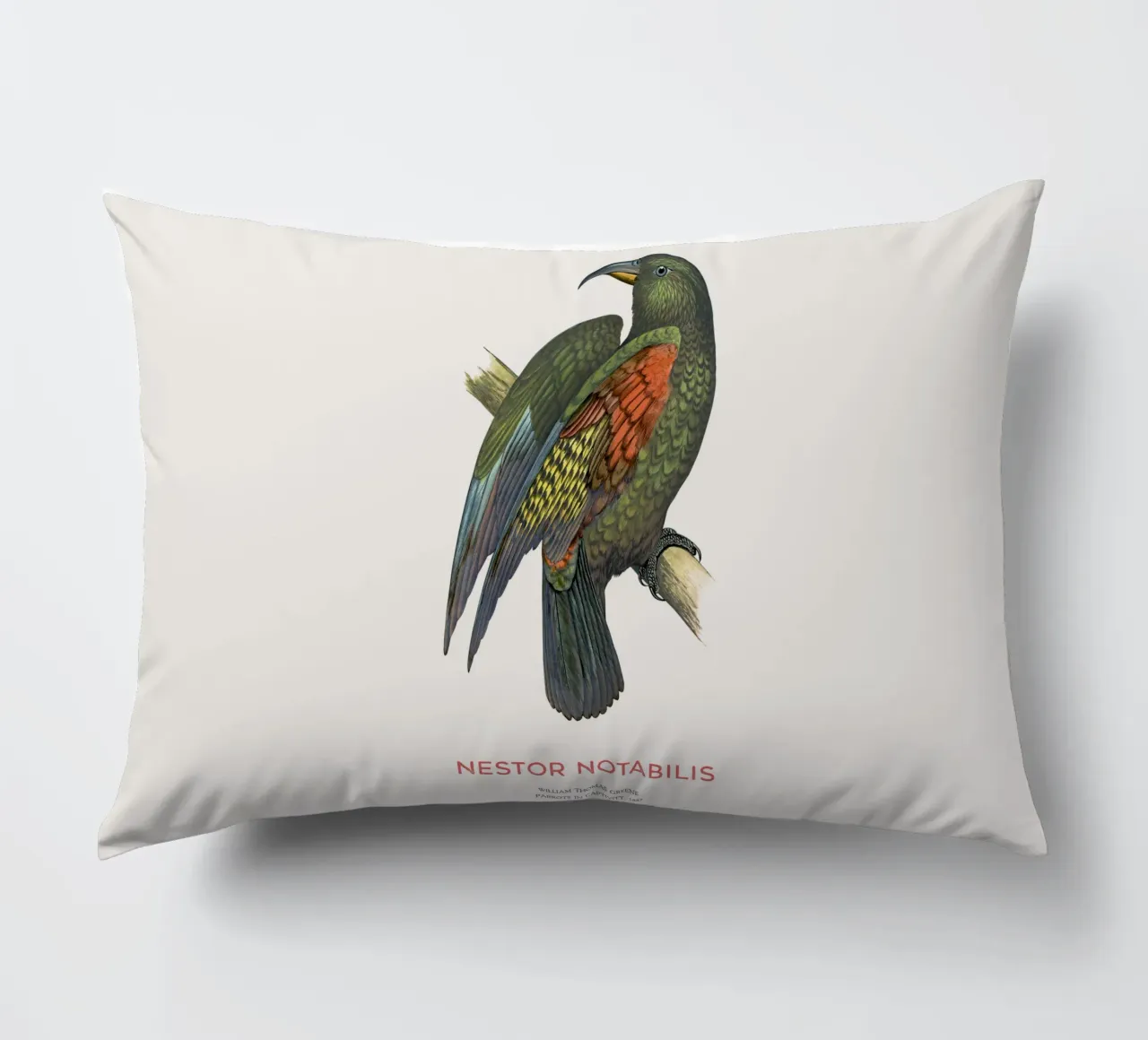Kea oder Nestor notabilis Kissen von Vintagrafica