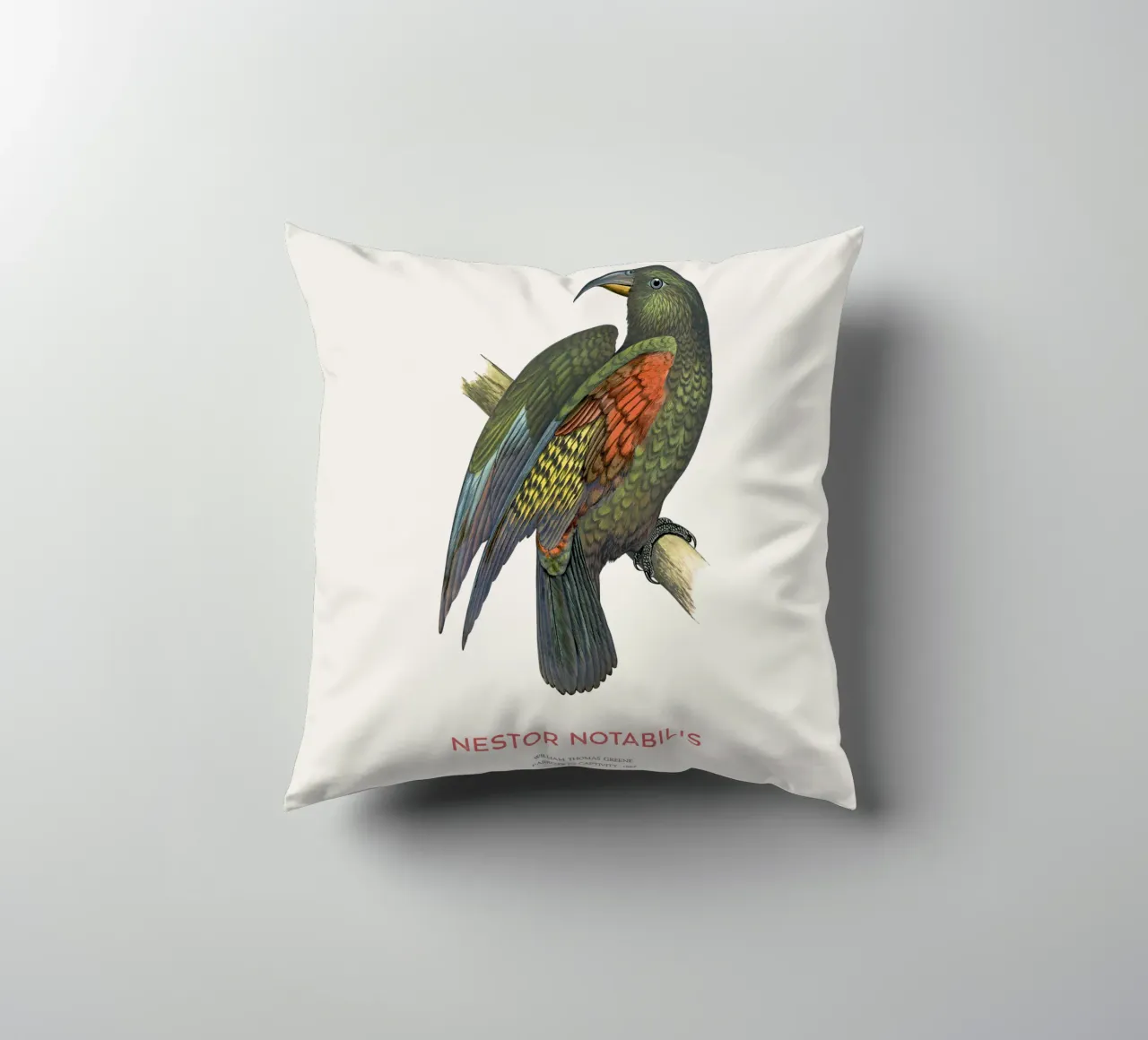 Kea oder Nestor notabilis Kissen von Vintagrafica