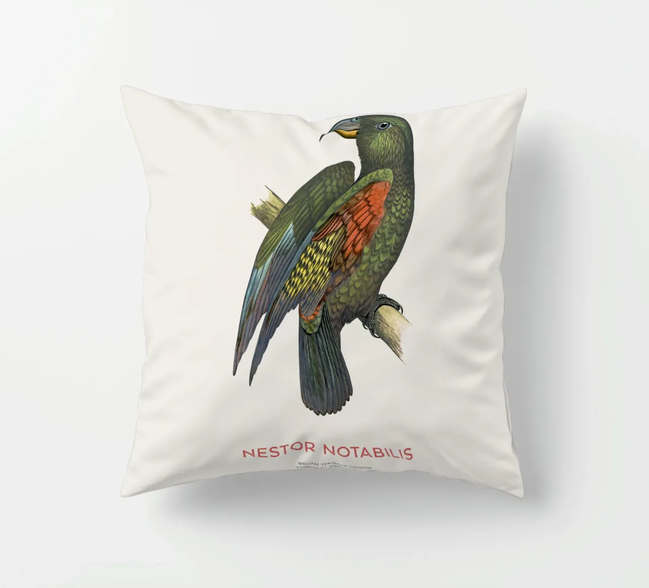 Kea oder Nestor notabilis Kissen von Vintagrafica