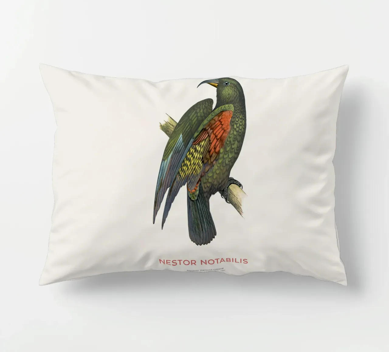 Kea oder Nestor notabilis Kissen von Vintagrafica