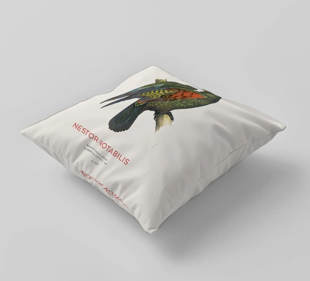 Kea oder Nestor notabilis Kissen von Vintagrafica