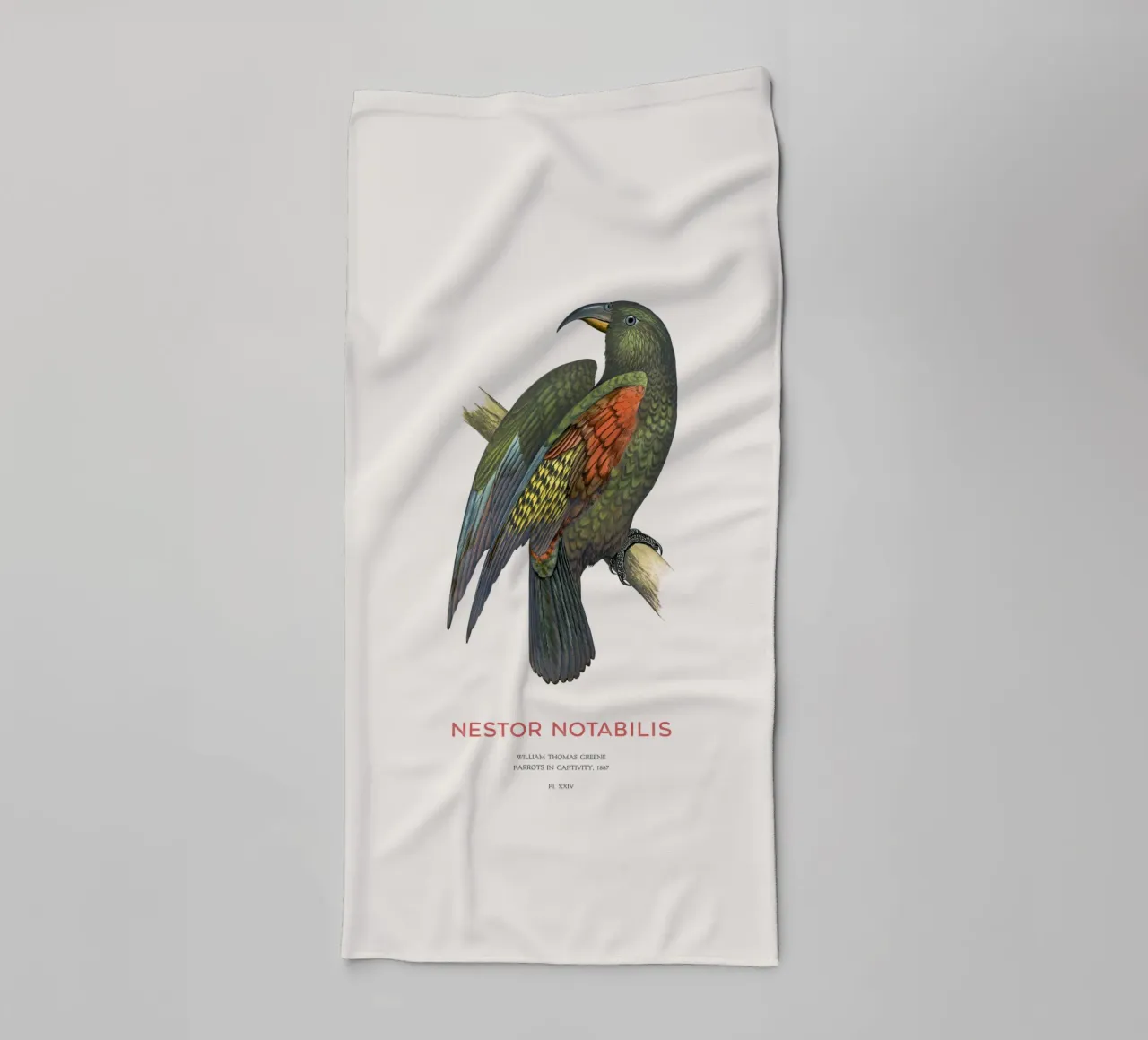 Kea o Nestor notabilis asciugamano da bagno da Vintagrafica