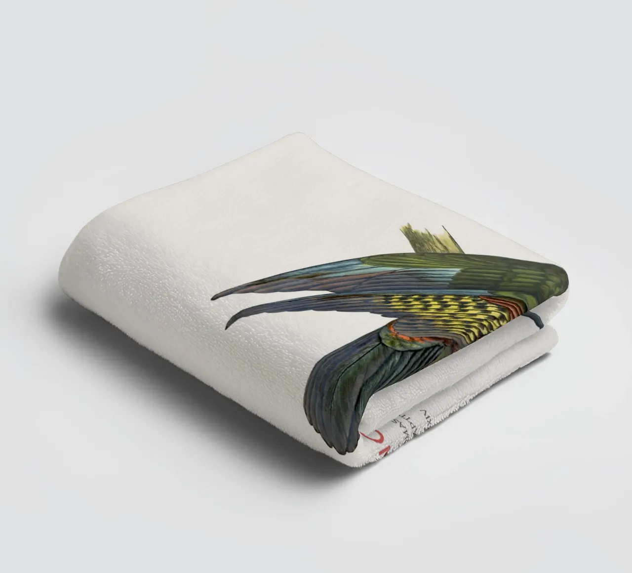 Kea o Nestor notabilis asciugamano da bagno da Vintagrafica