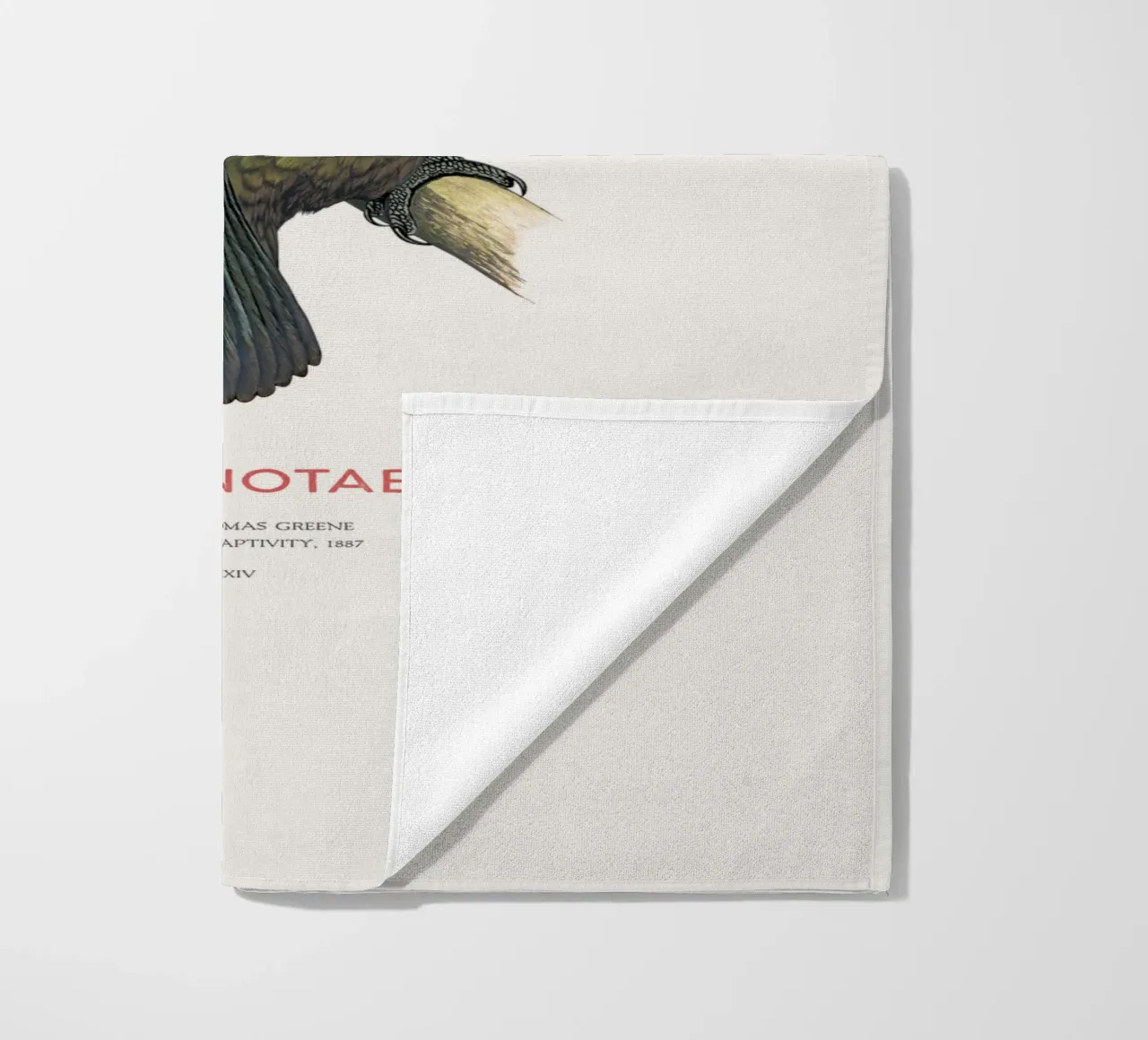 Kea o Nestor notabilis telo mare da Vintagrafica