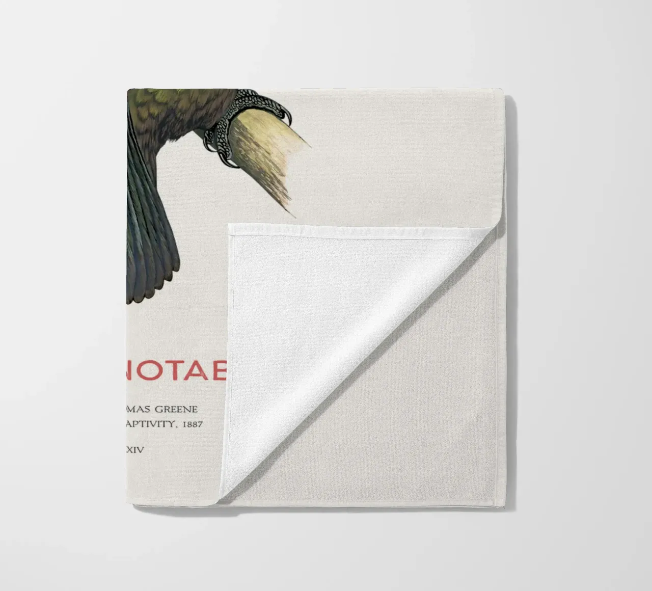 Kea o Nestor notabilis telo mare da Vintagrafica