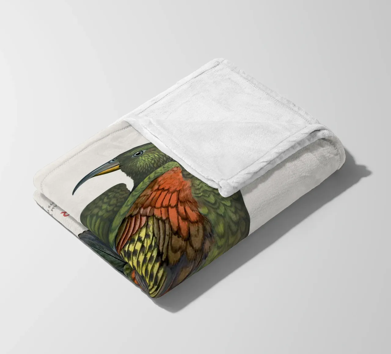 Kea o Nestor notabilis coperta in pile da Vintagrafica