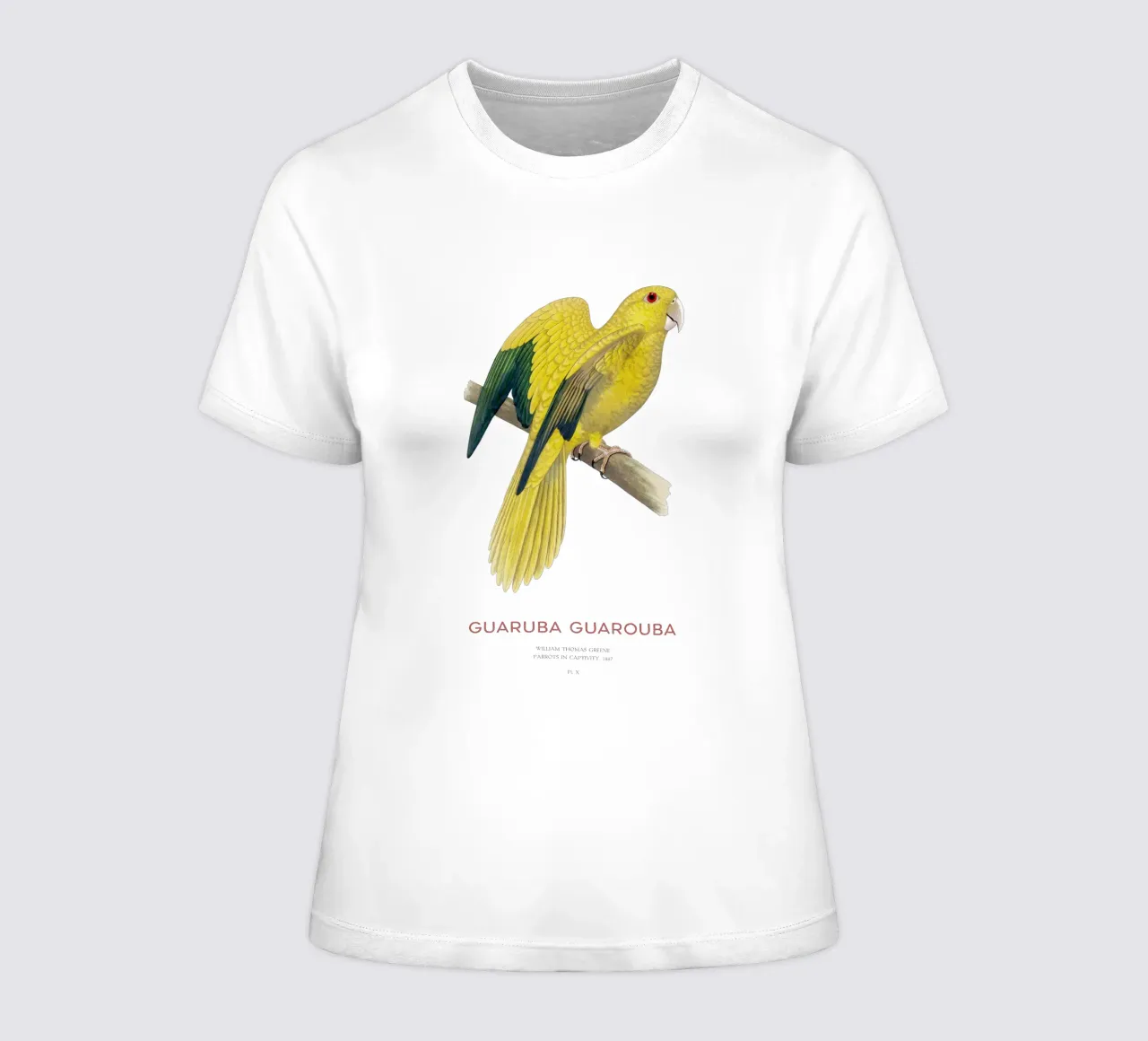 Golden parakeet or Guaruba guarouba women's fitted t-shirt by Vintagrafica
