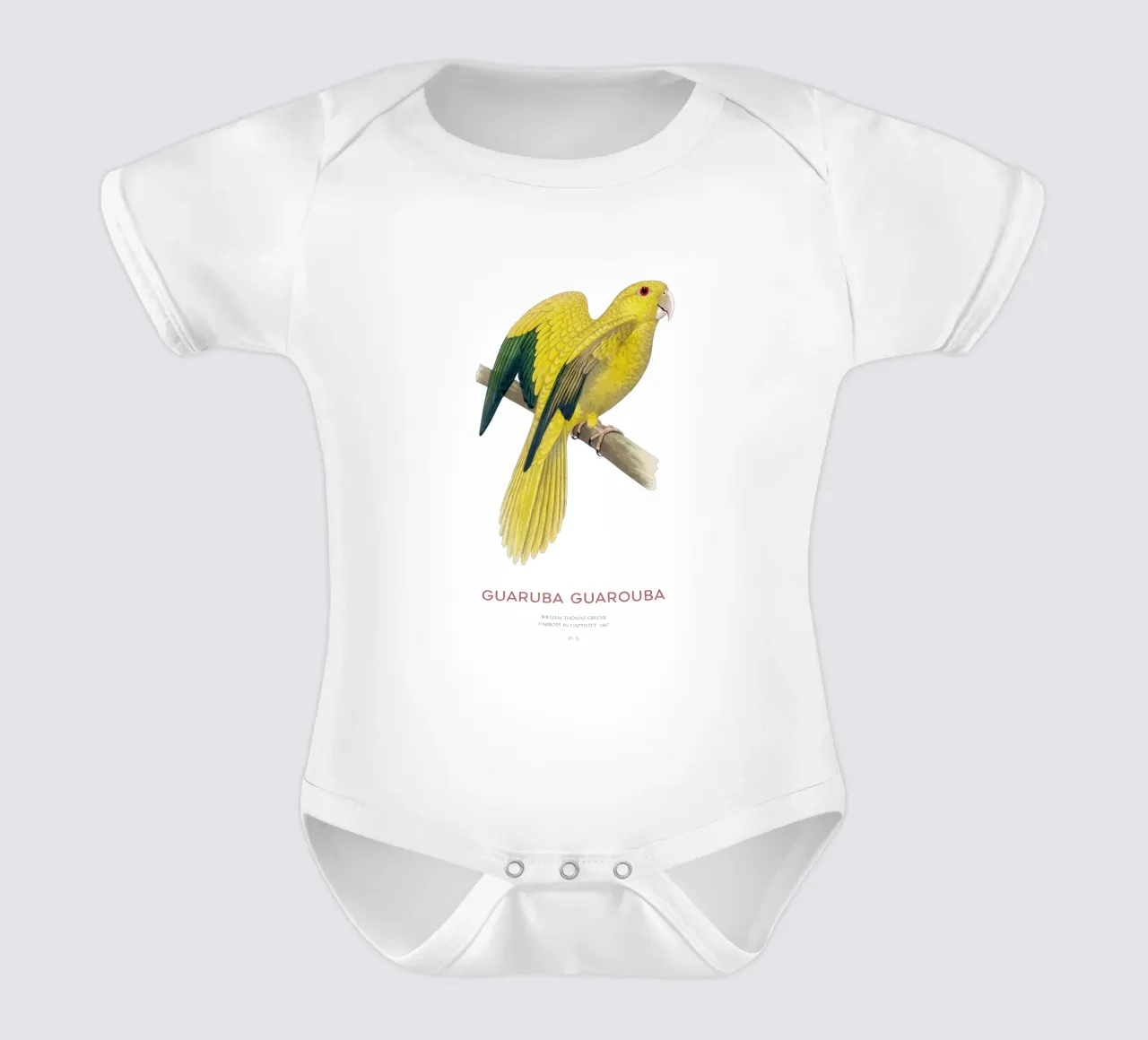 Goldsittich oder Guaruba guarouba Kurzarm Babybody von Vintagrafica