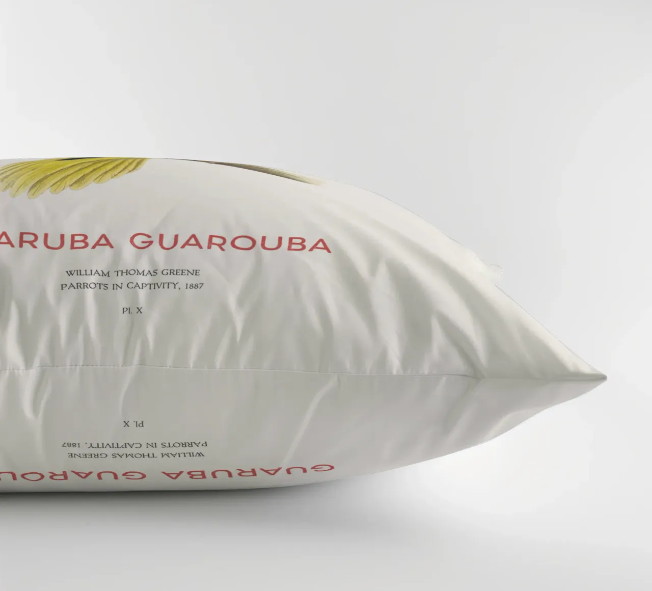 Parrocchetto d'oro o Guaruba guarouba cuscino da Vintagrafica