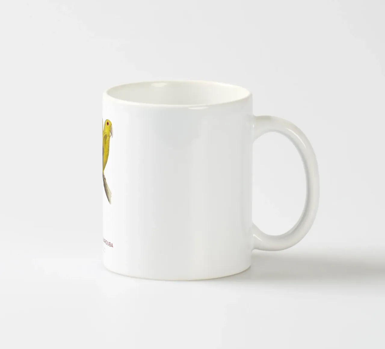 Parrocchetto d'oro o Guaruba guarouba tazza in ceramica da Vintagrafica