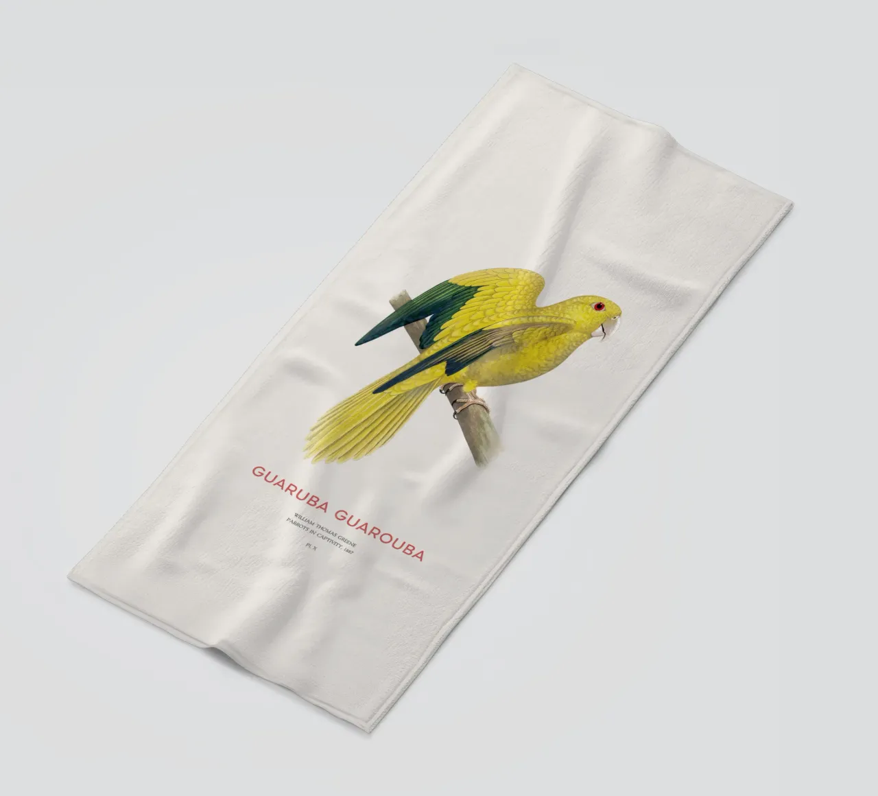 Golden parakeet or Guaruba guarouba beach towel by Vintagrafica