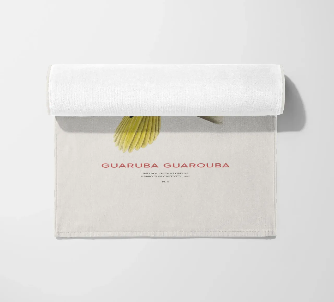Golden parakeet or Guaruba guarouba beach towel by Vintagrafica
