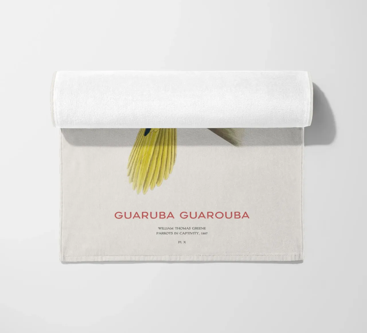 Golden parakeet or Guaruba guarouba beach towel by Vintagrafica