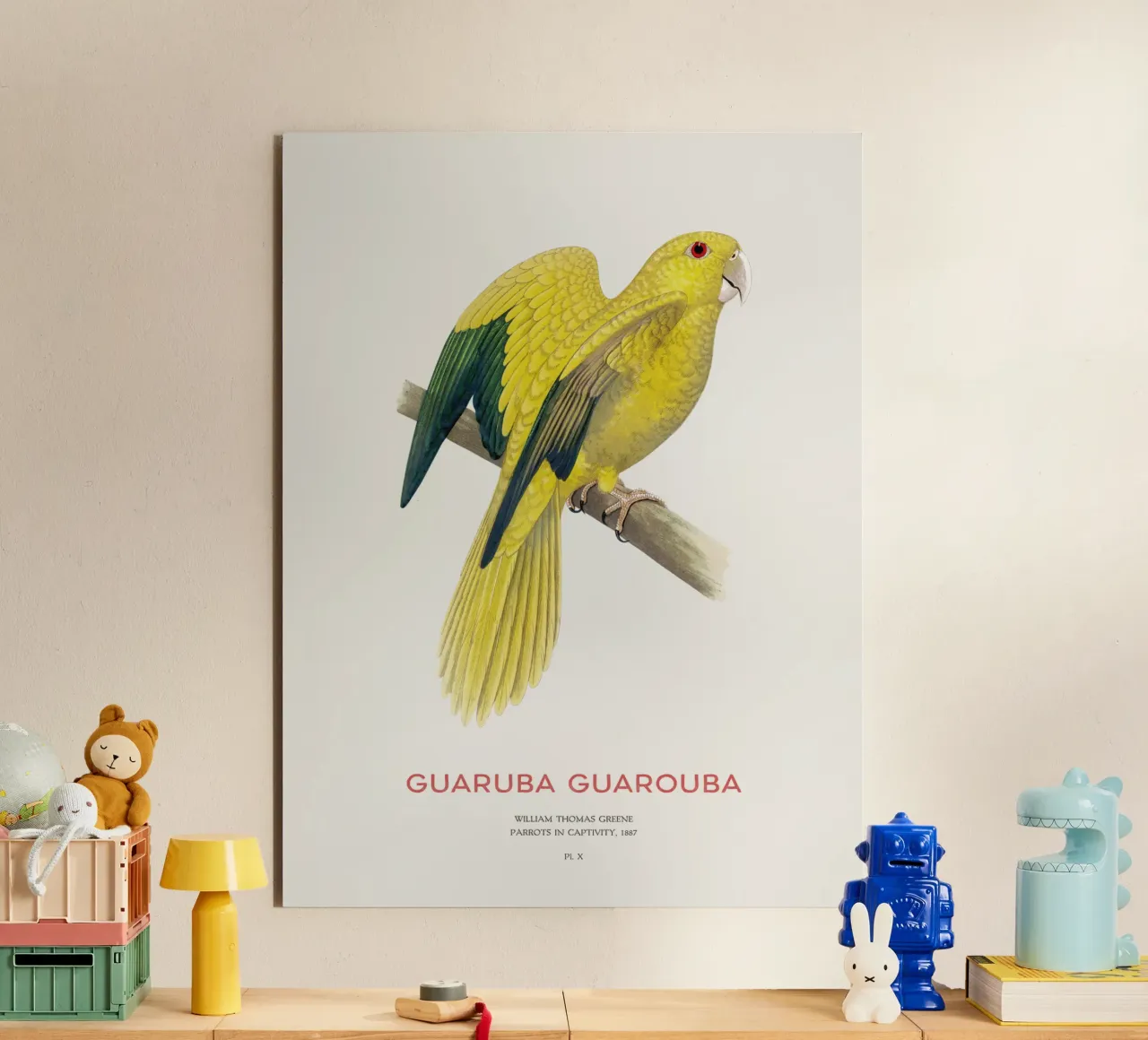 Goldsittich oder Guaruba guarouba Alu-Dibond von Vintagrafica