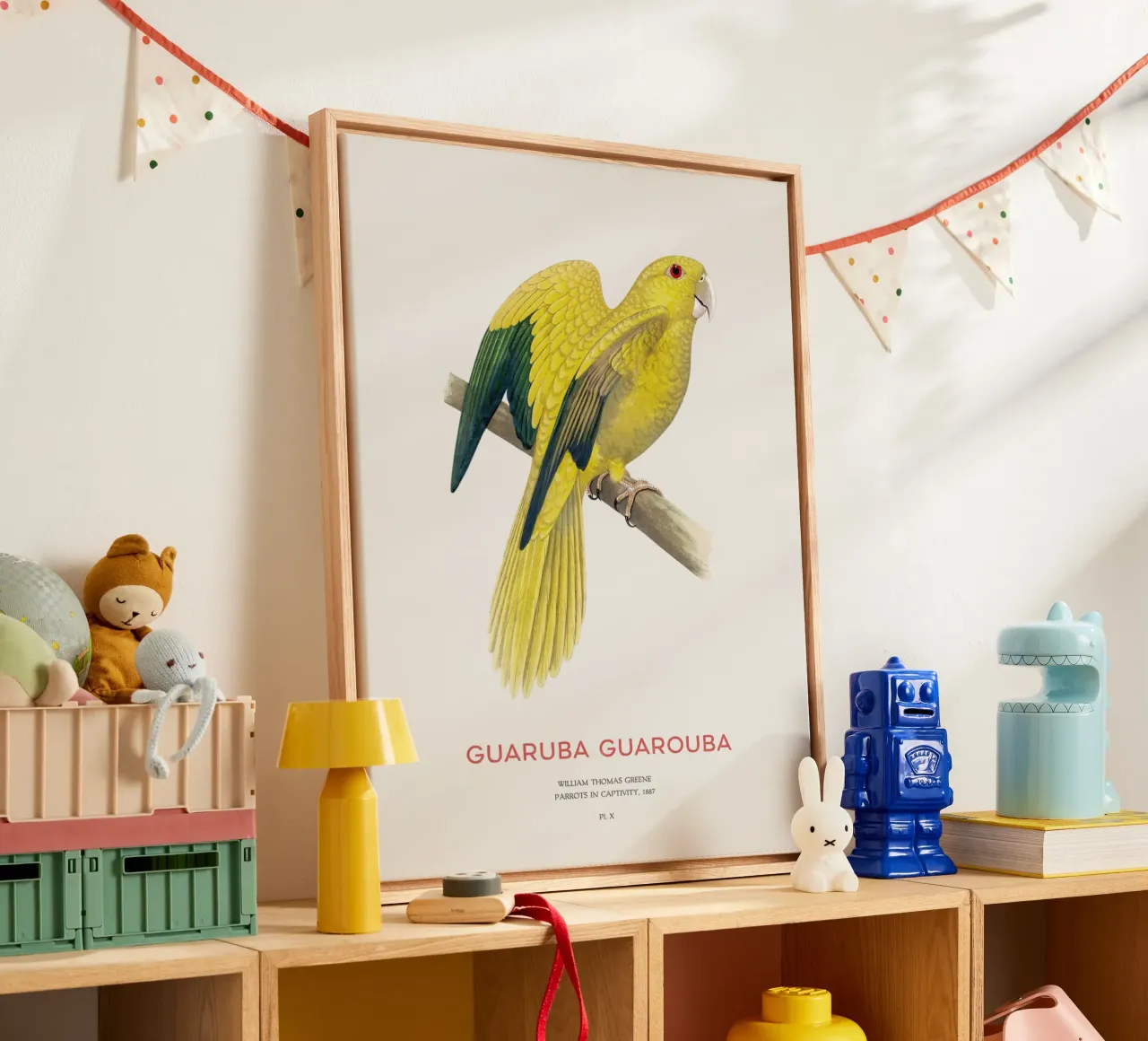 Golden parakeet or Guaruba guarouba canvas by Vintagrafica