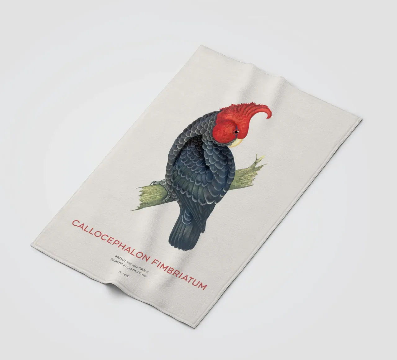 Gang-Kakadu oder Callocephalon fimbriatum Fleecedecke von Vintagrafica