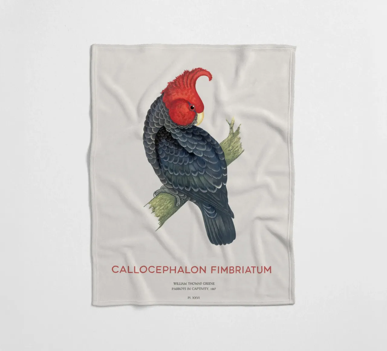 Gang-Kakadu oder Callocephalon fimbriatum Fleecedecke von Vintagrafica
