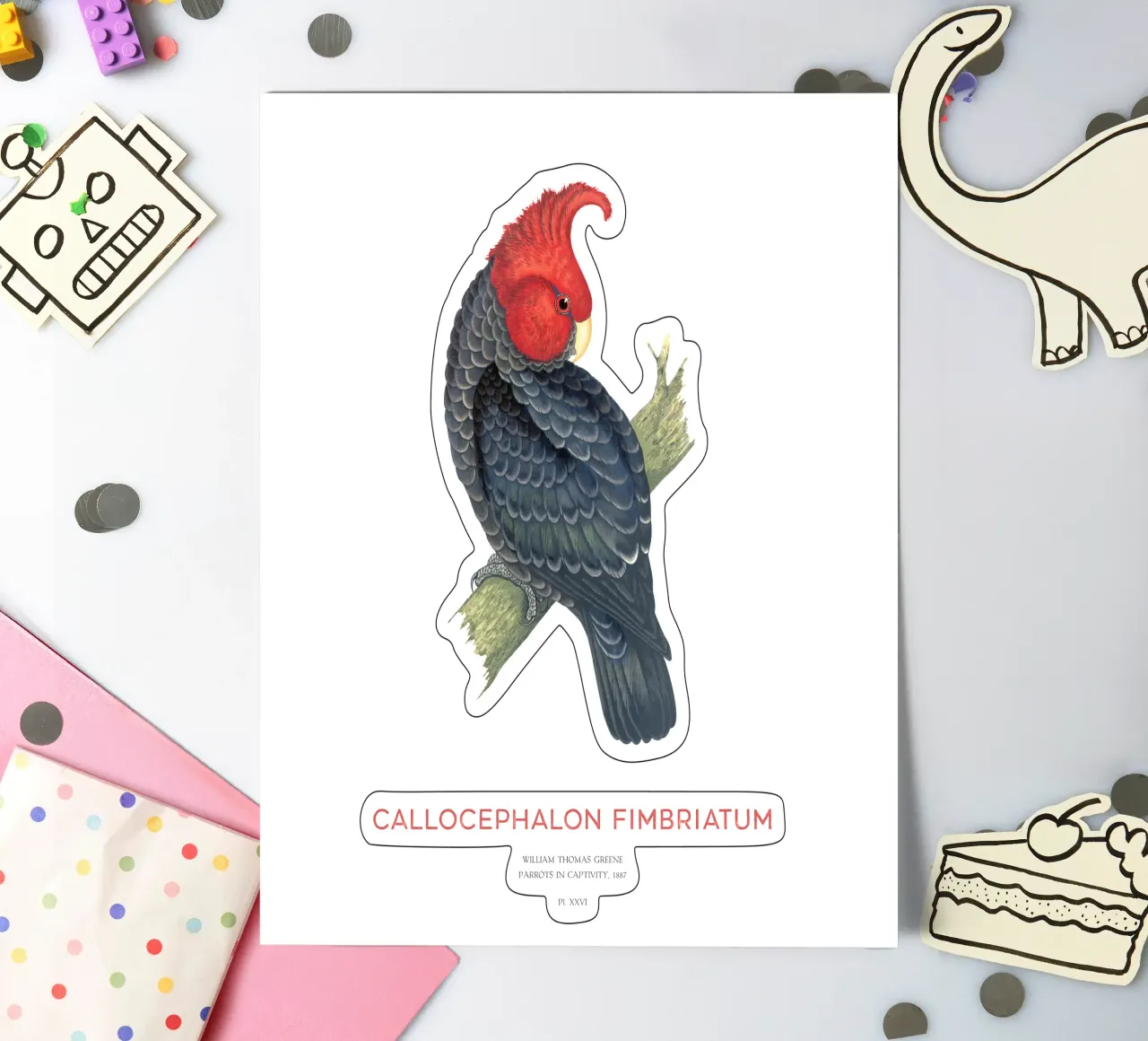 Gang-Kakadu oder Callocephalon fimbriatum Stickerbogen von Vintagrafica