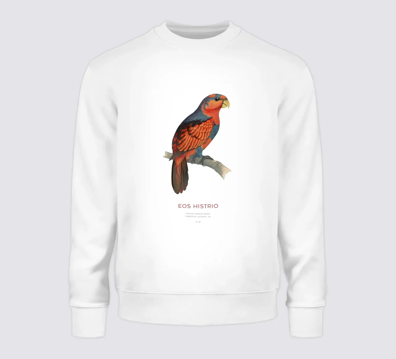 Rotblauer Lori oder Eos histrio Sweatshirt von Vintagrafica
