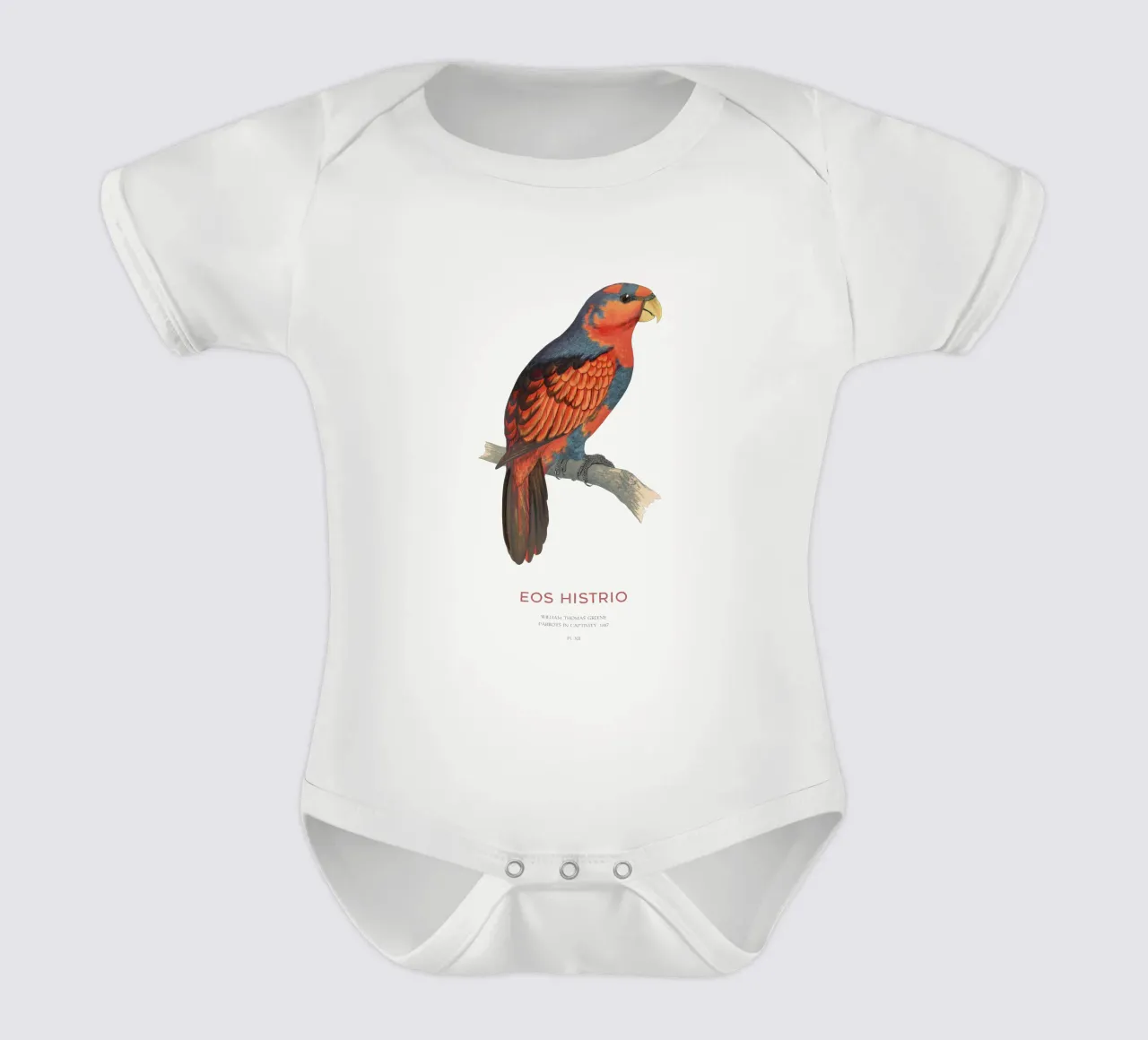 Rotblauer Lori oder Eos histrio Kurzarm Babybody von Vintagrafica