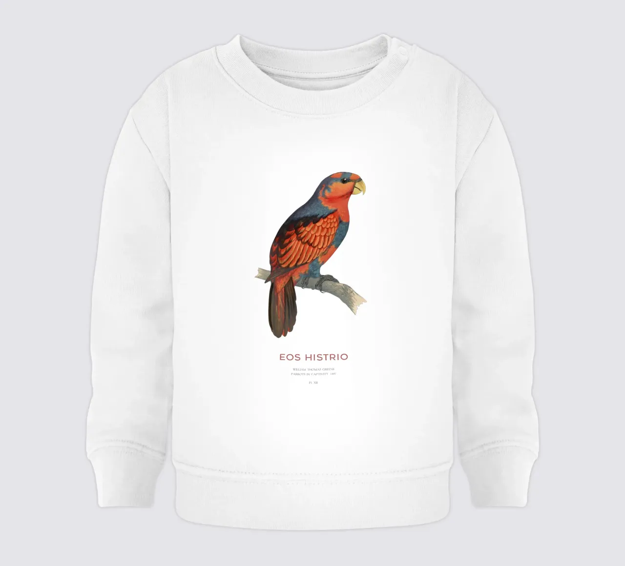 Rotblauer Lori oder Eos histrio Baby Sweatshirt von Vintagrafica