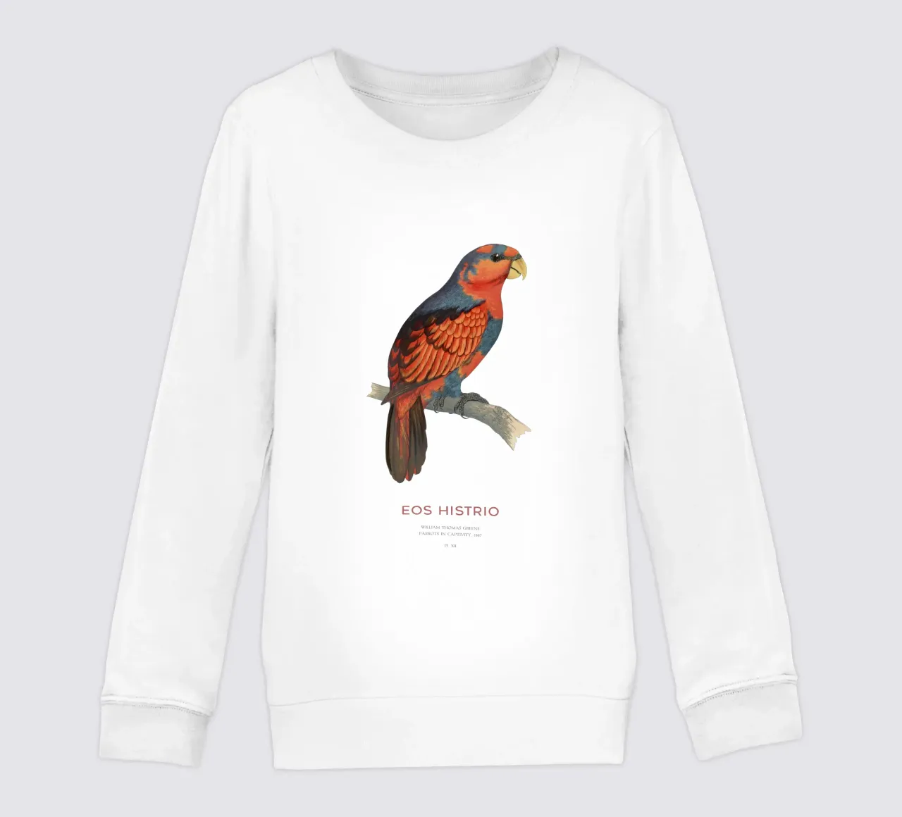 Rotblauer Lori oder Eos histrio Kinder Sweatshirt von Vintagrafica