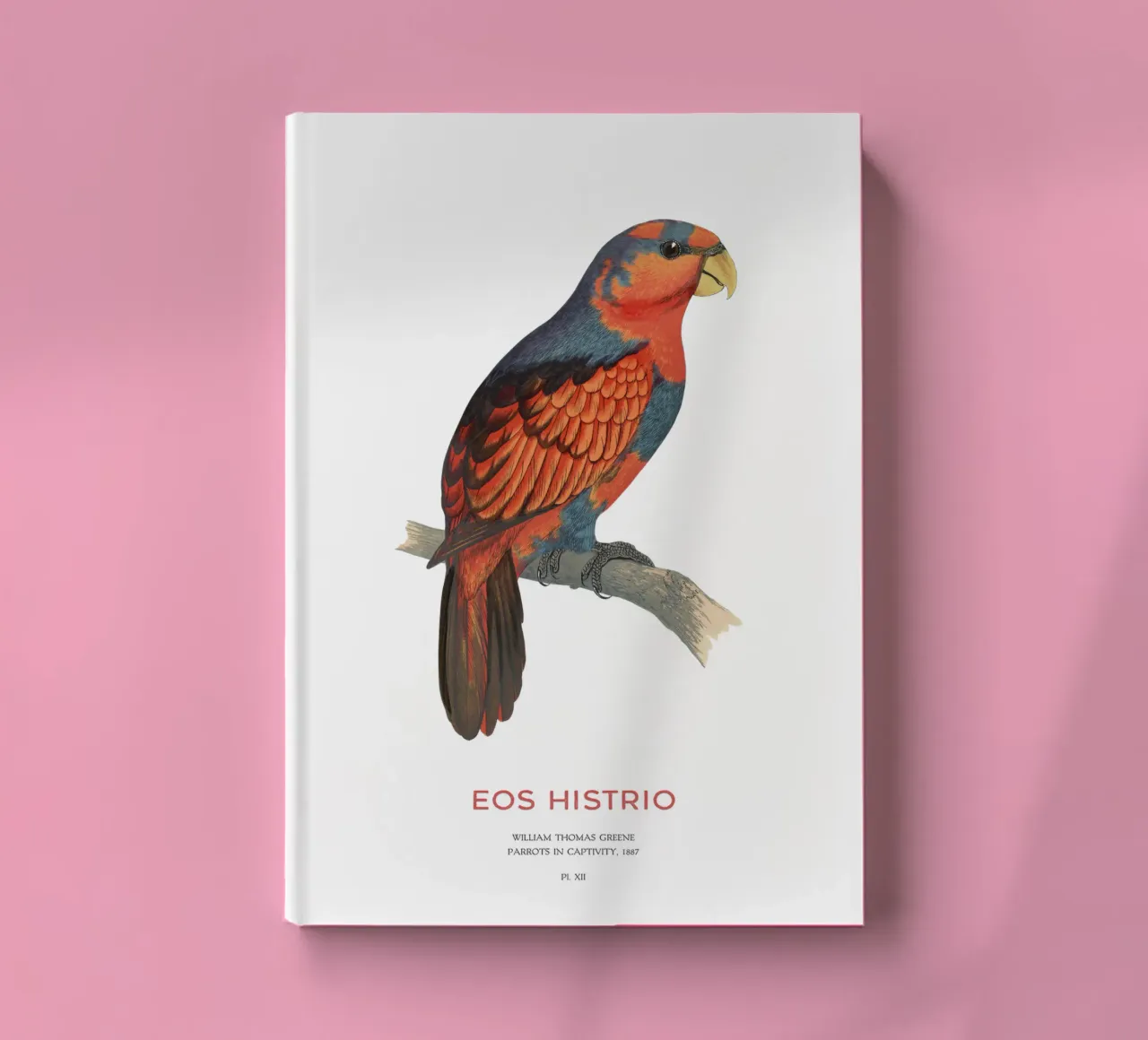 Red-and-blue lory or Eos histrio notebook by Vintagrafica