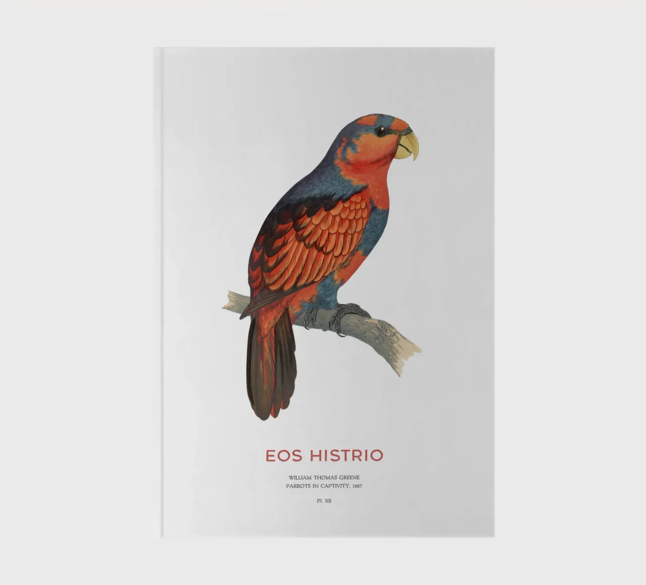 Red-and-blue lory or Eos histrio notebook by Vintagrafica