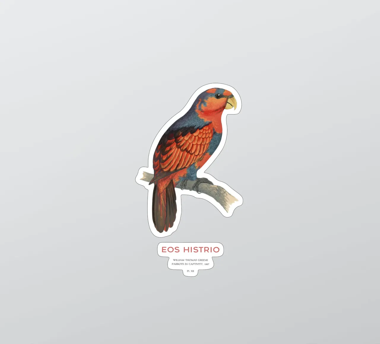 Rotblauer Lori oder Eos histrio Sticker von Vintagrafica