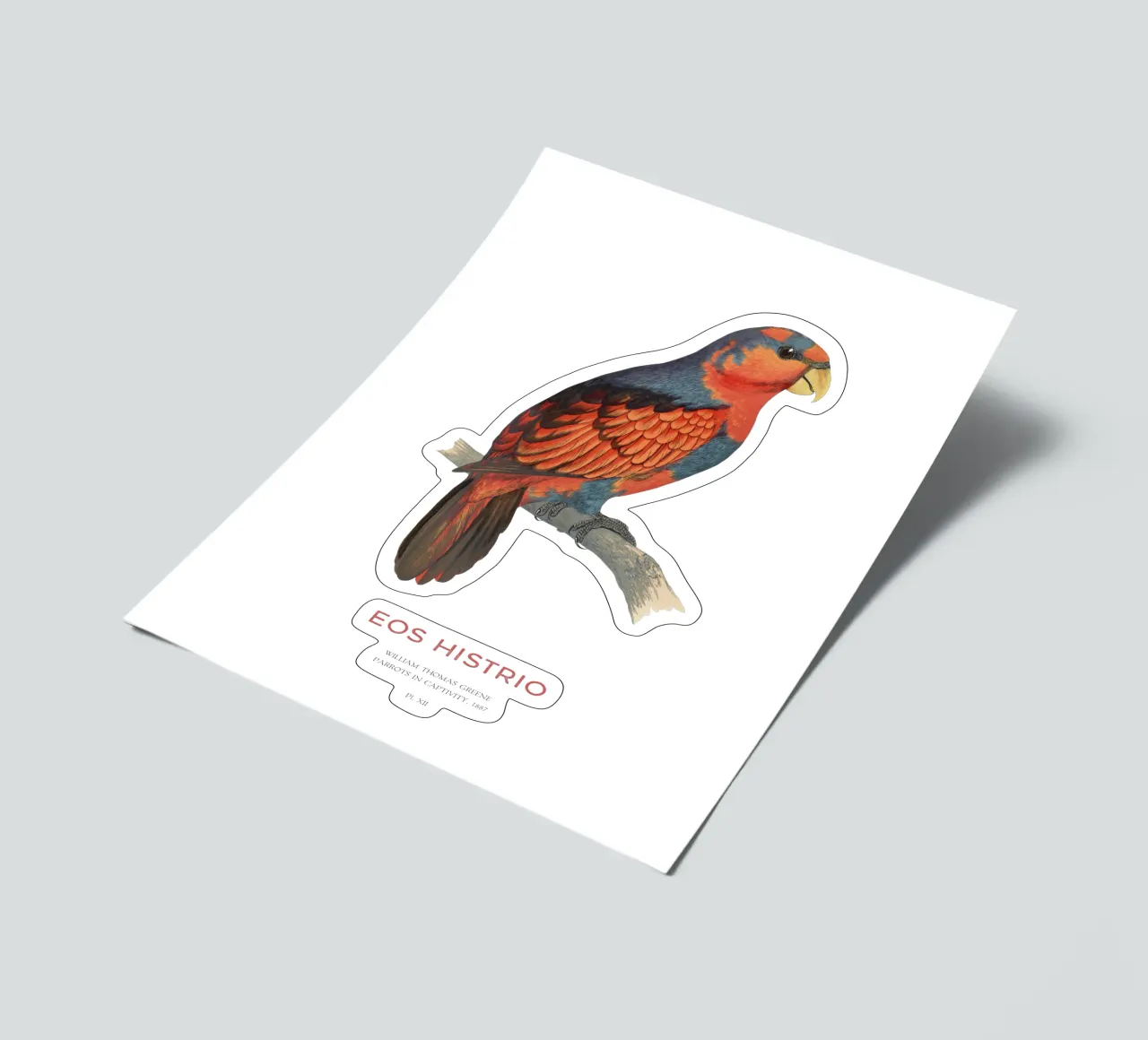Rotblauer Lori oder Eos histrio Stickerbogen von Vintagrafica