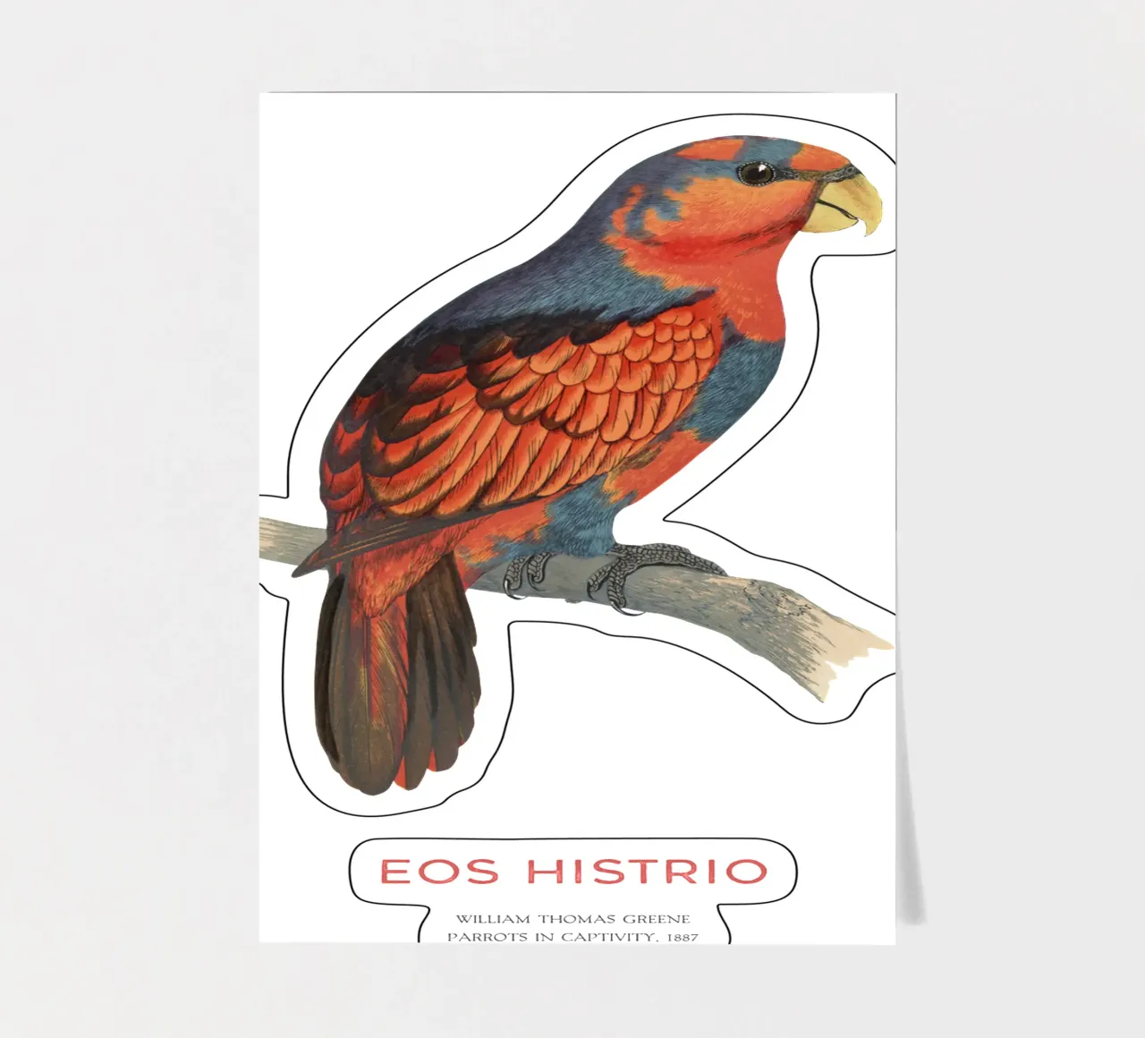 Rotblauer Lori oder Eos histrio Stickerbogen von Vintagrafica