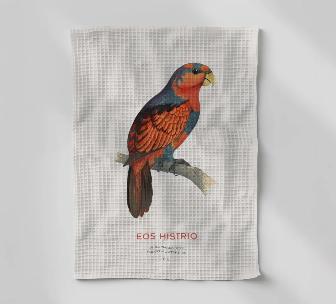 Rotblauer Lori oder Eos histrio Geschirrtuch von Vintagrafica