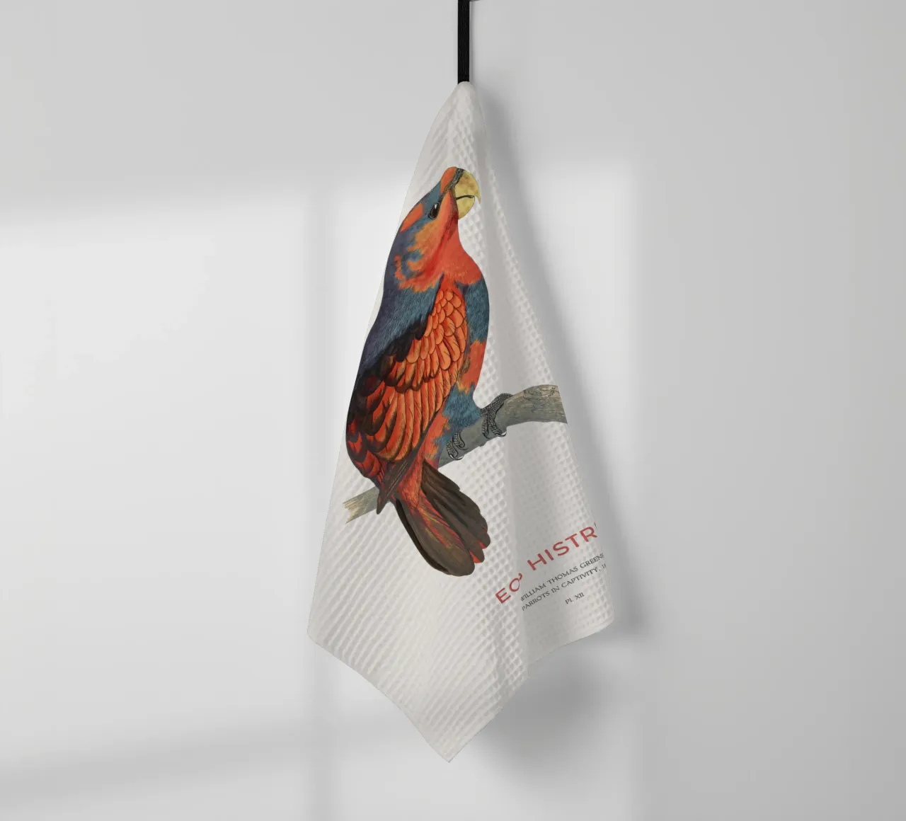 Rotblauer Lori oder Eos histrio Geschirrtuch von Vintagrafica