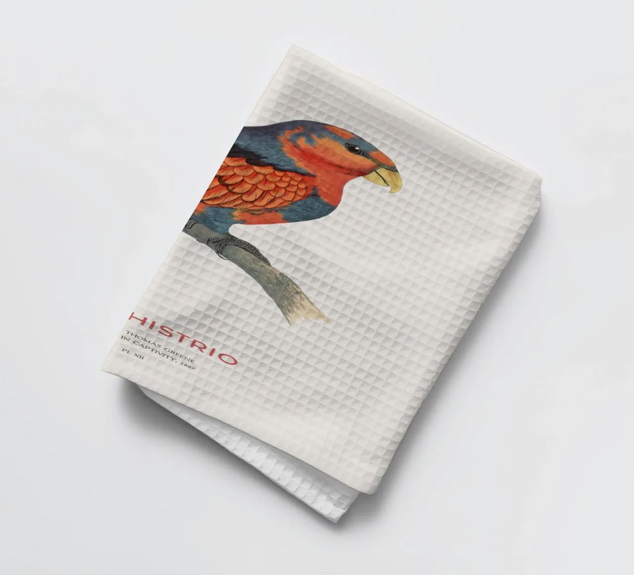 Rotblauer Lori oder Eos histrio Geschirrtuch von Vintagrafica