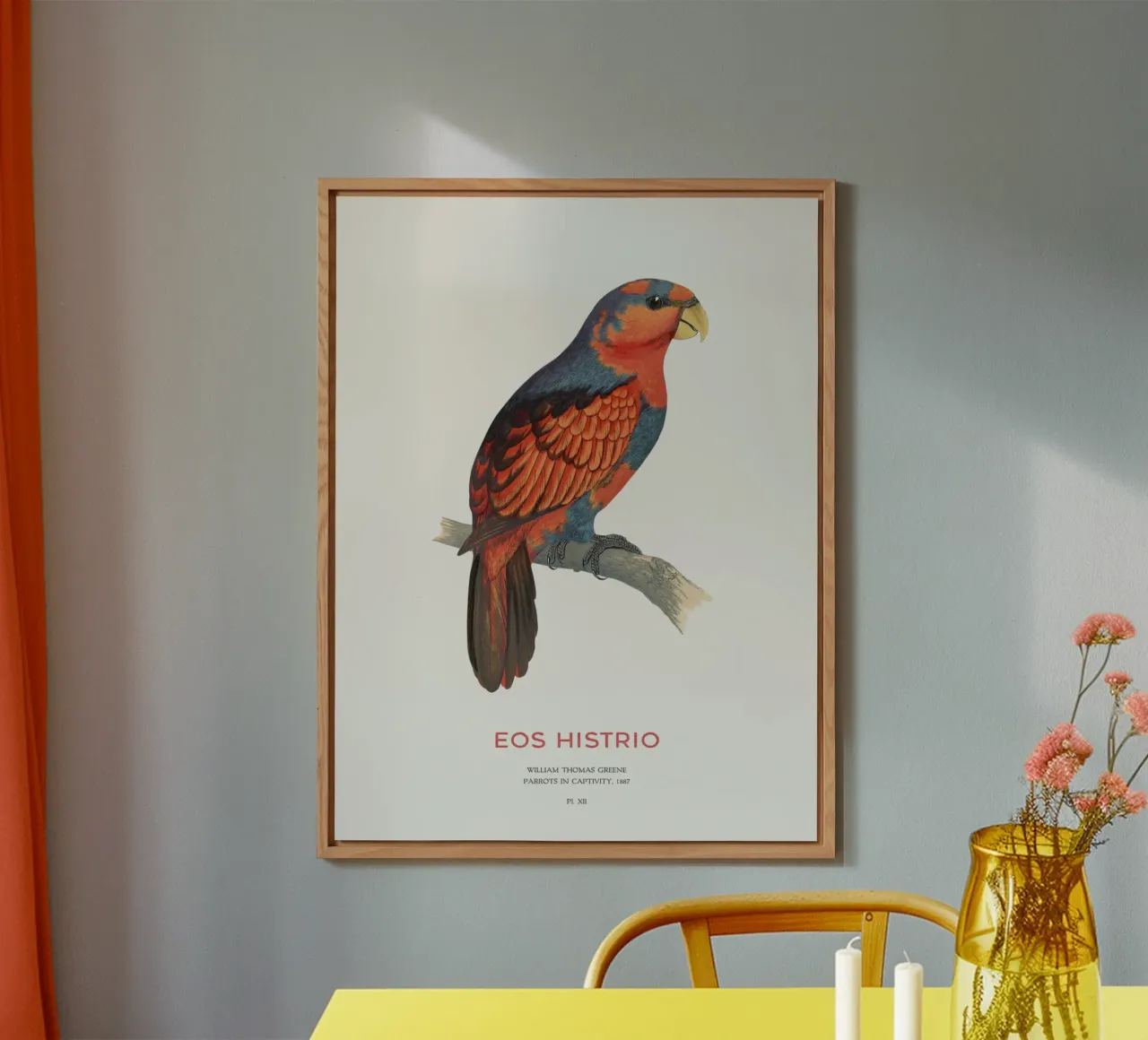 Rotblauer Lori oder Eos histrio Alu-Dibond von Vintagrafica