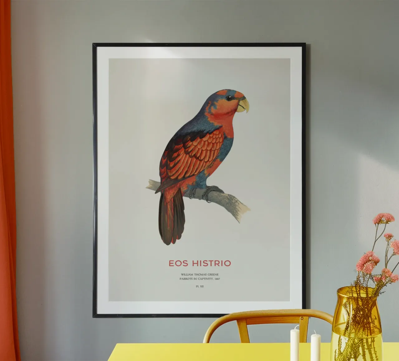 Rotblauer Lori oder Eos histrio Hahnemühle von Vintagrafica