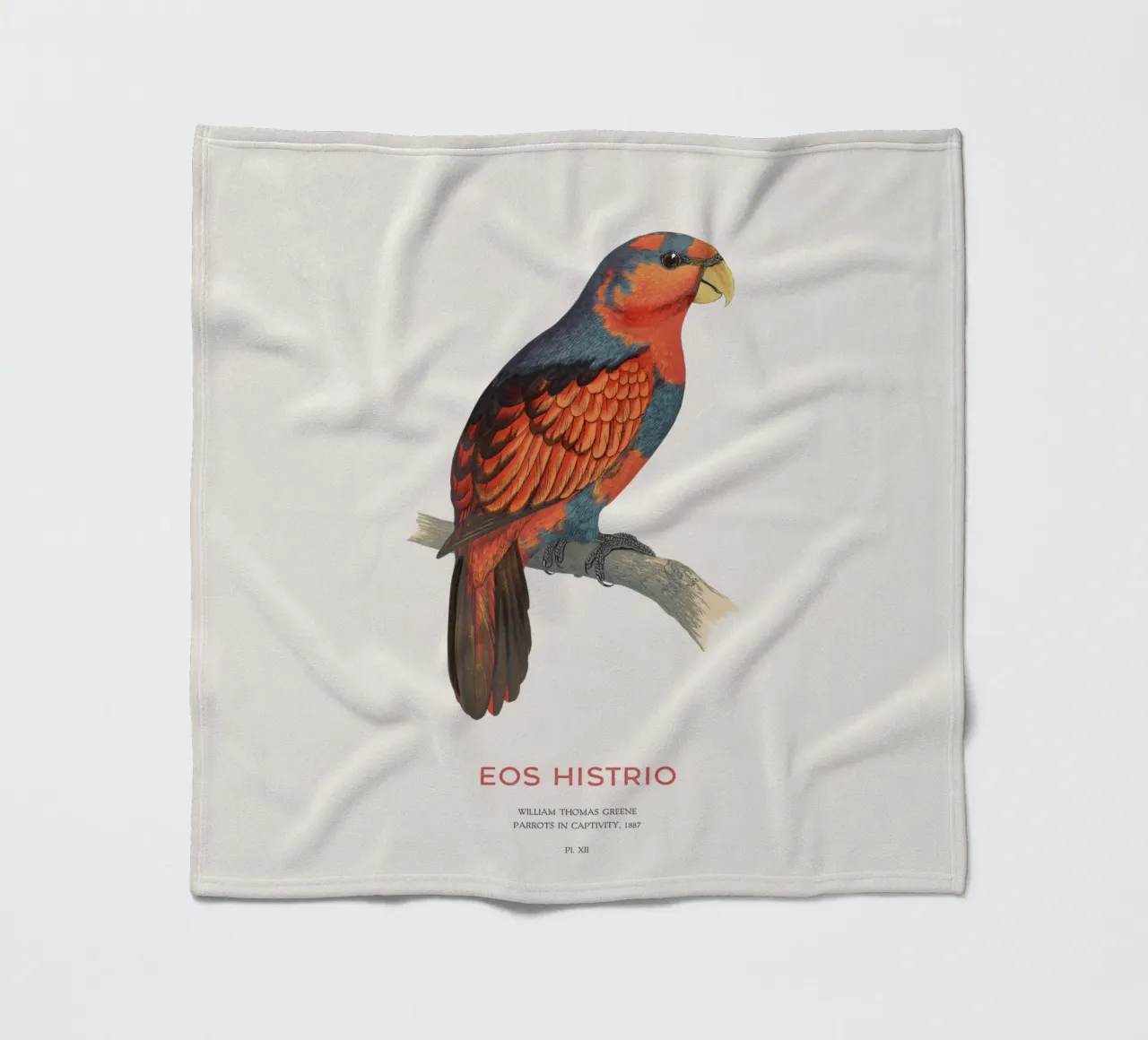Rotblauer Lori oder Eos histrio Fleecedecke von Vintagrafica