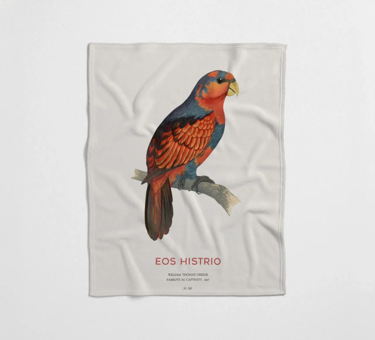 Rotblauer Lori oder Eos histrio Fleecedecke von Vintagrafica