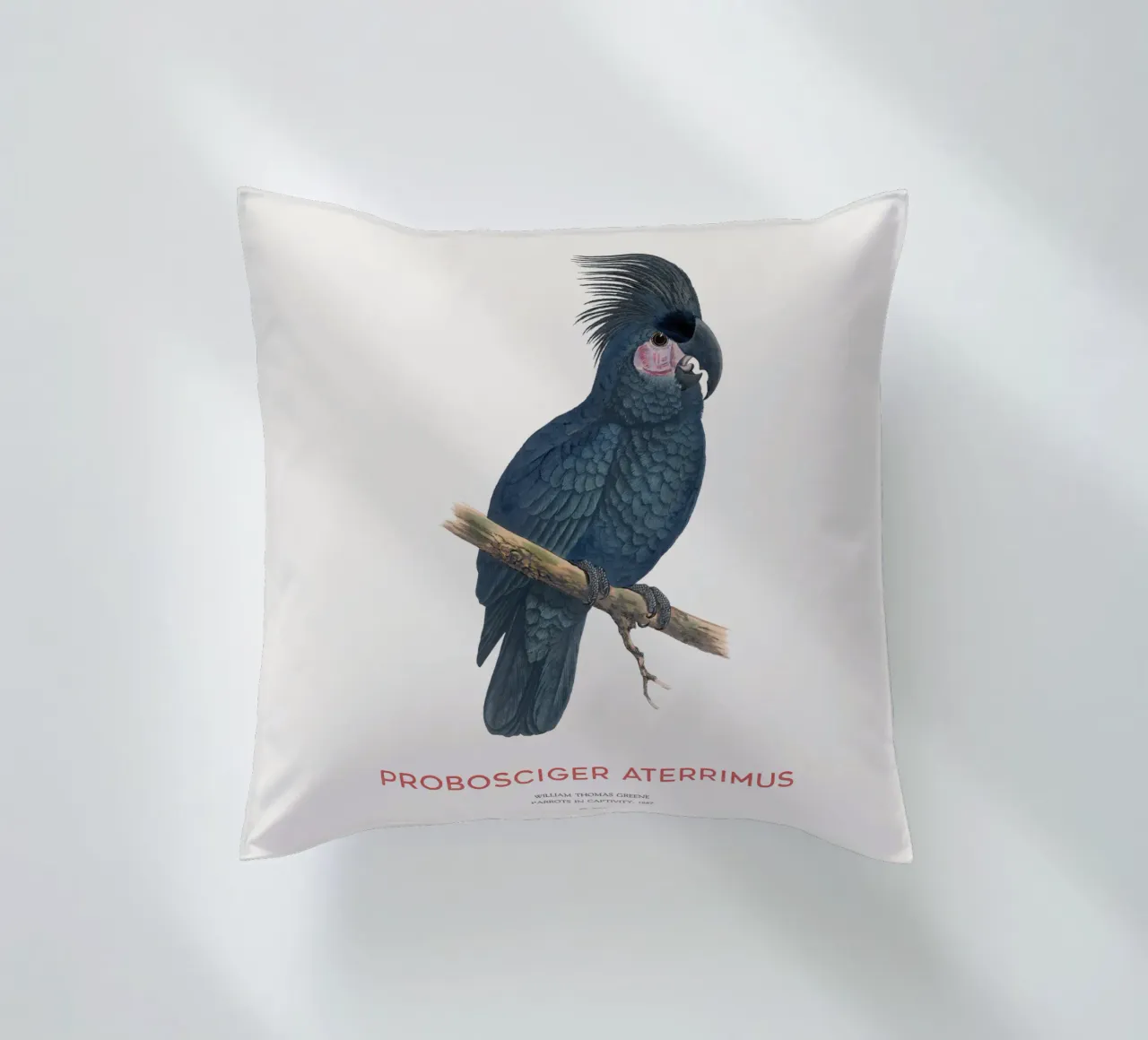Cacatua delle palme o Probosciger aterrimus cuscino da Vintagrafica