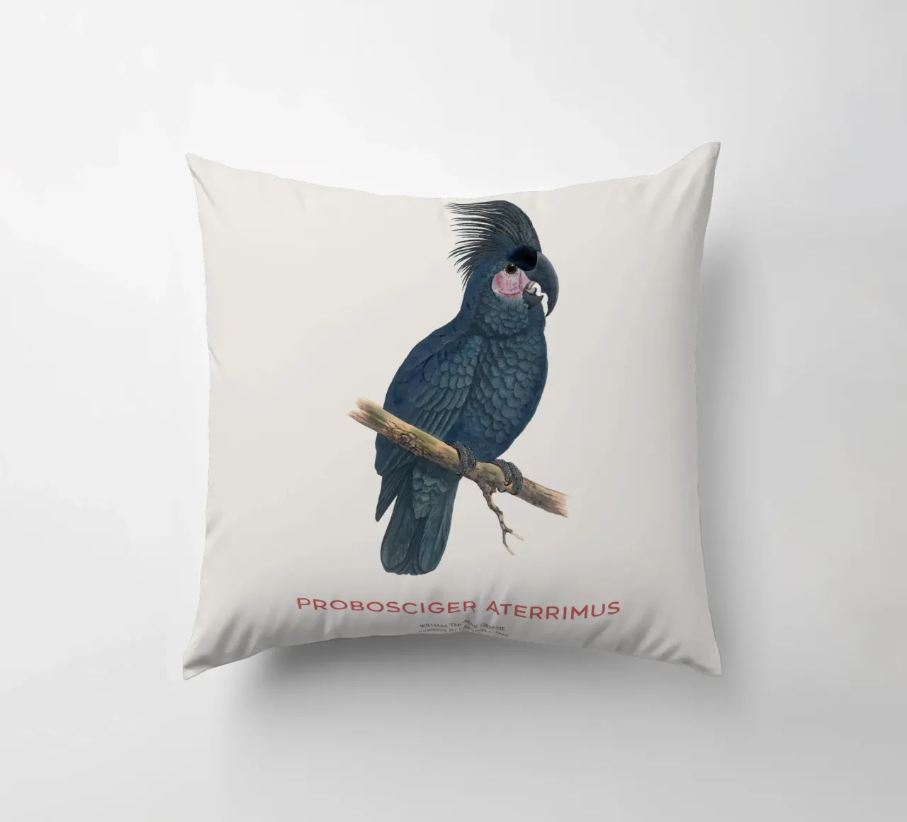 Cacatua delle palme o Probosciger aterrimus cuscino da Vintagrafica