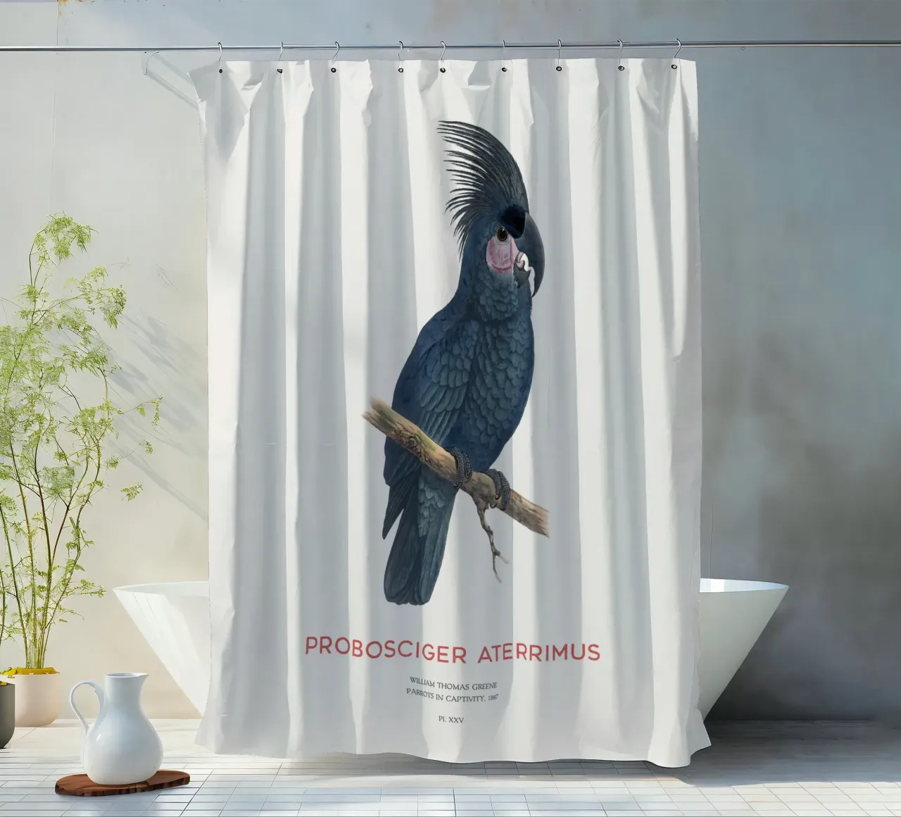Palmkakadu oder Probosciger aterrimus Duschvorhang von Vintagrafica