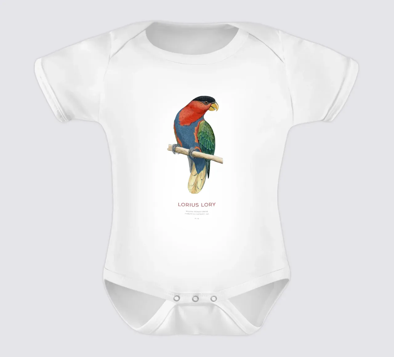 Schwarzkappenlori oder Loriuslori Kurzarm Babybody von Vintagrafica