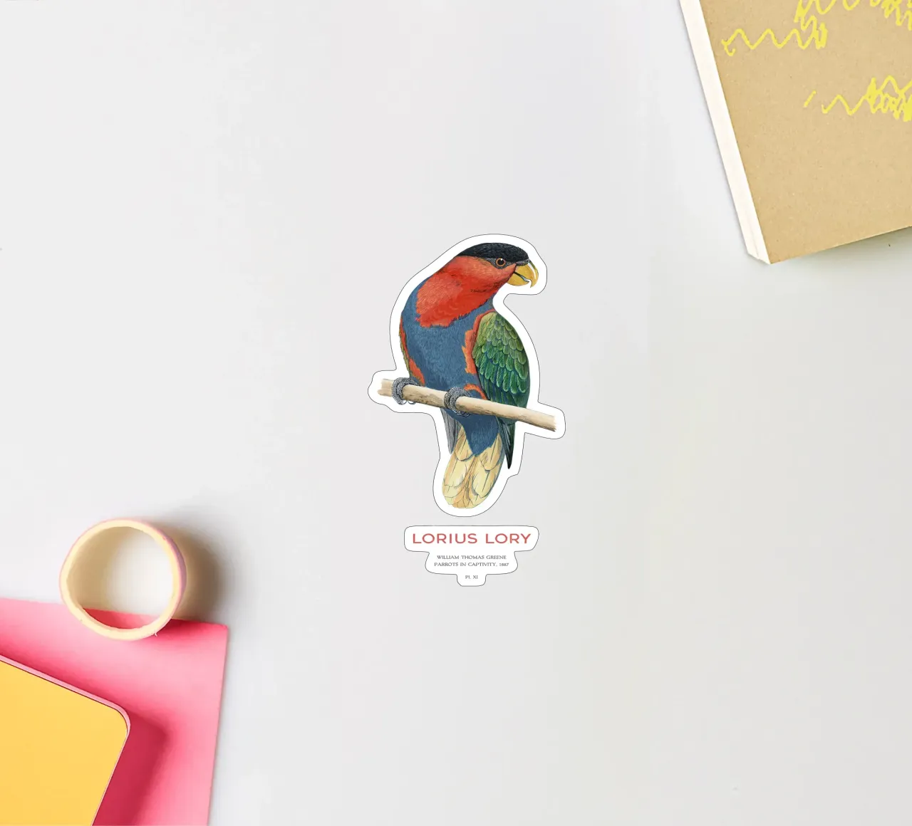 Schwarzkappenlori oder Loriuslori Sticker von Vintagrafica