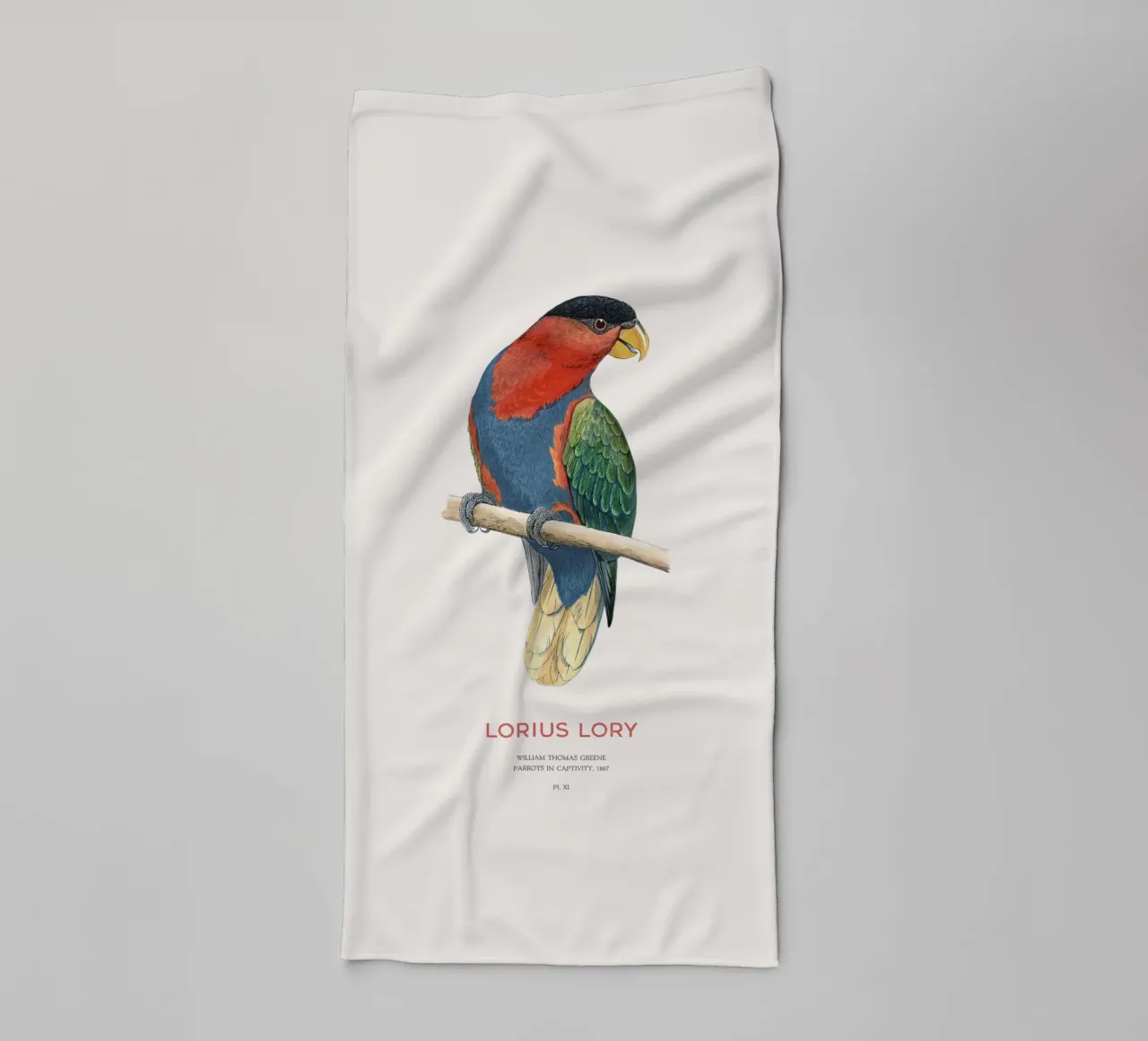 Schwarzkappenlori oder Loriuslori Handtuch von Vintagrafica